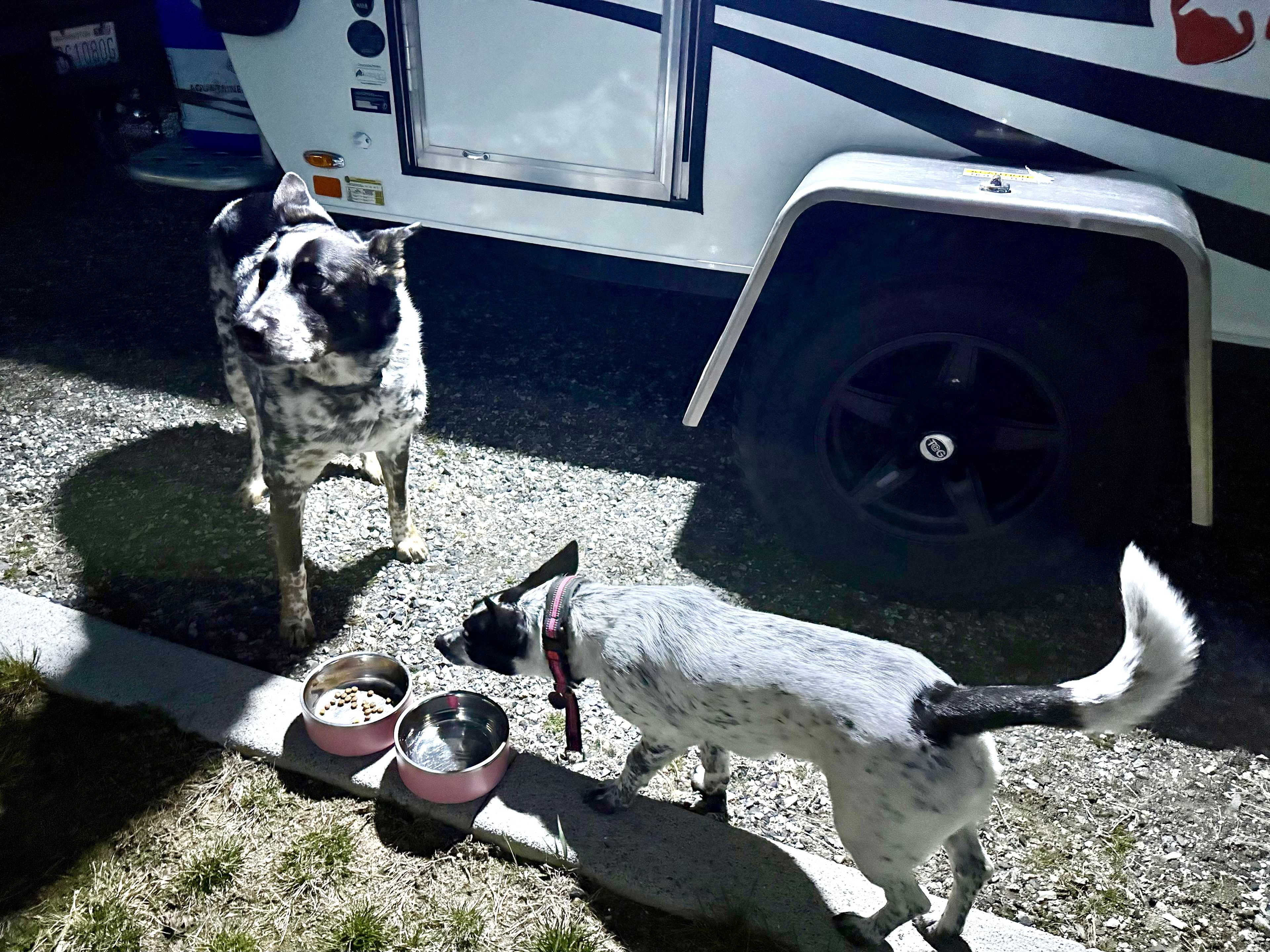 Bianchi Vineyards RV Site