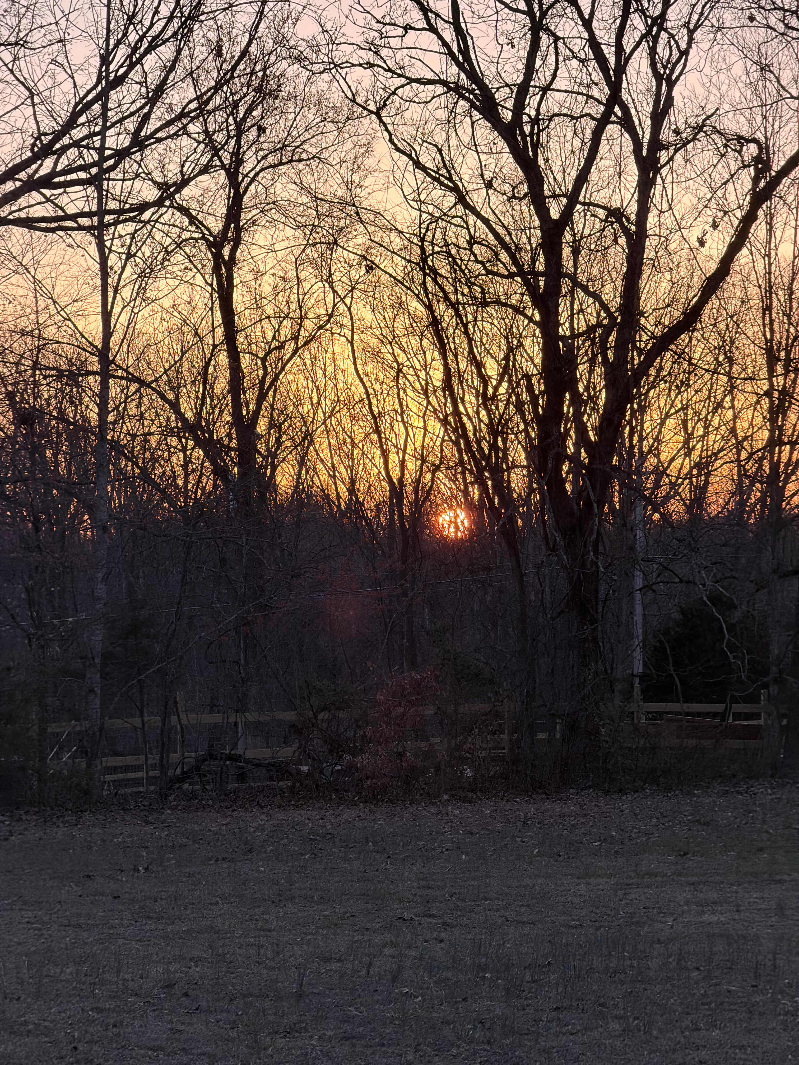 Hidden Timbers Homestead