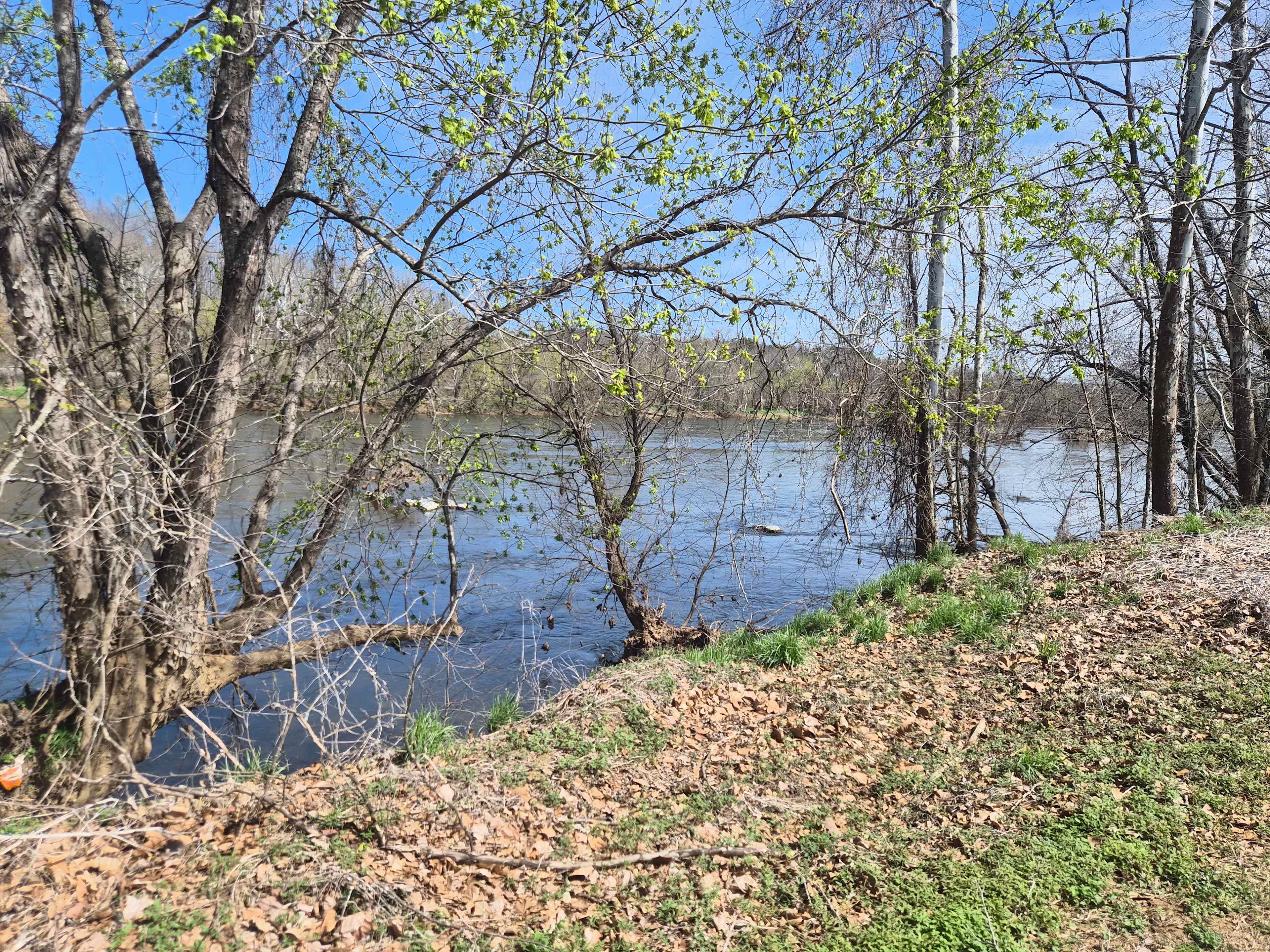 Seven Islands River Front Campsites