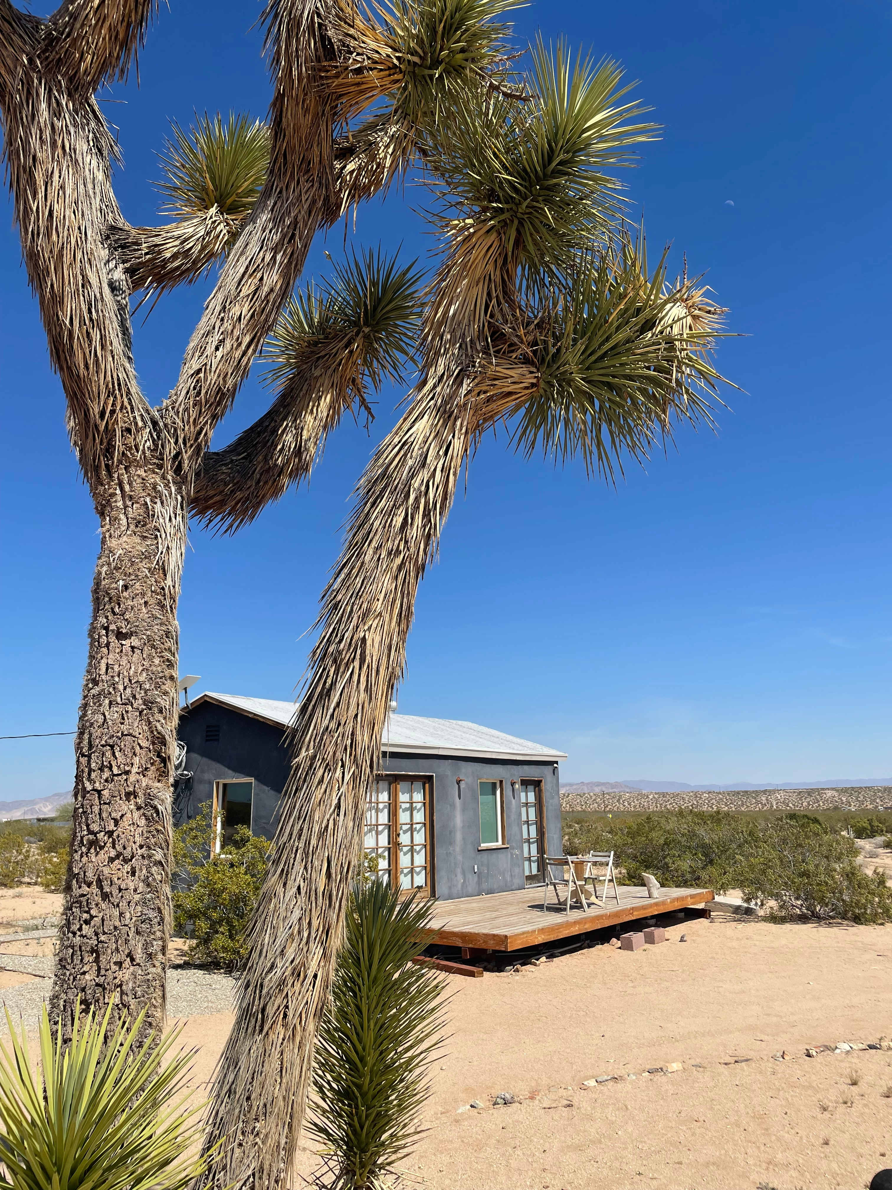 Cozy Retreat in Joshua Tree