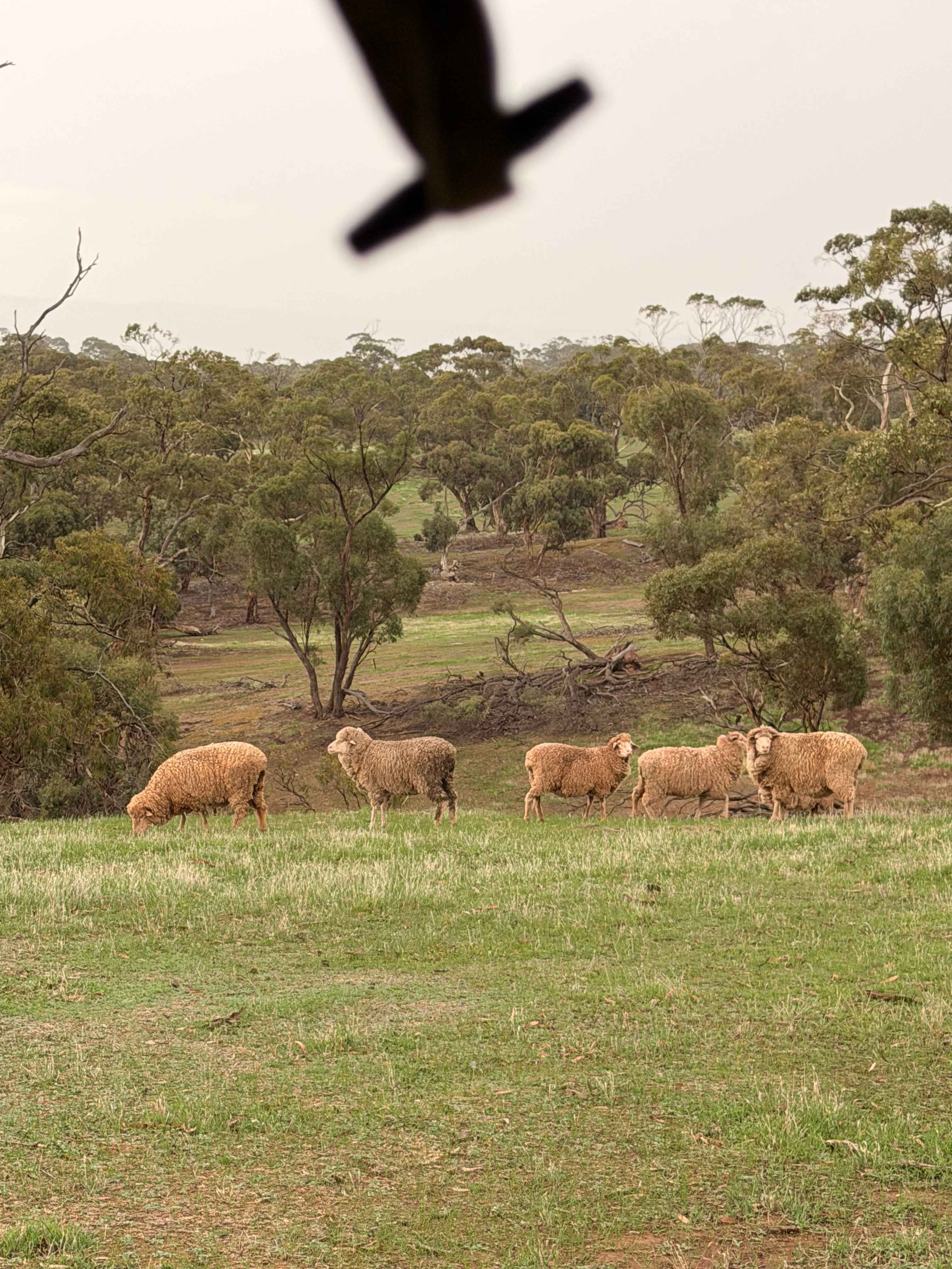 Edgehill Farm Stays Riverton