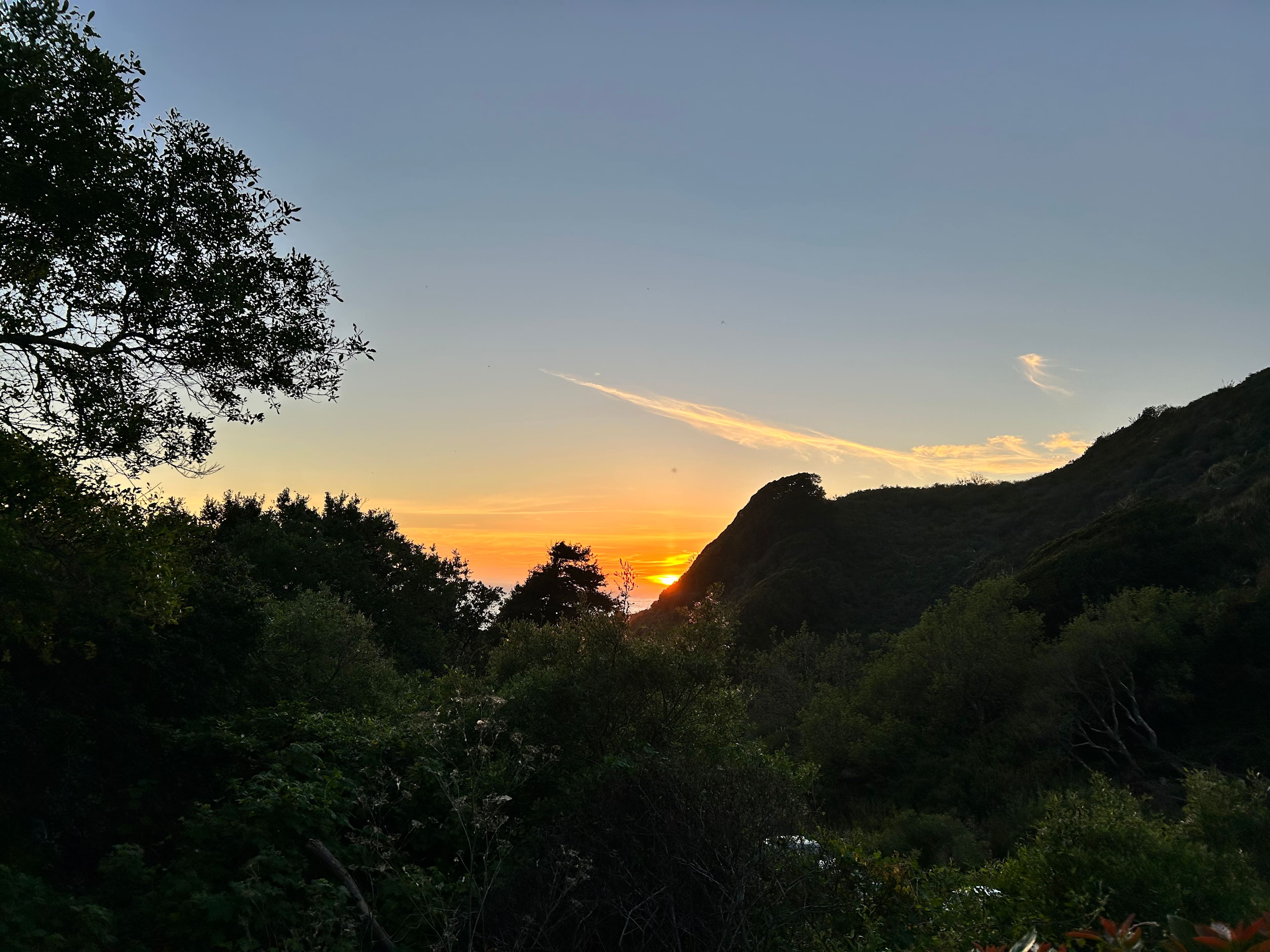 dabudage Big Sur