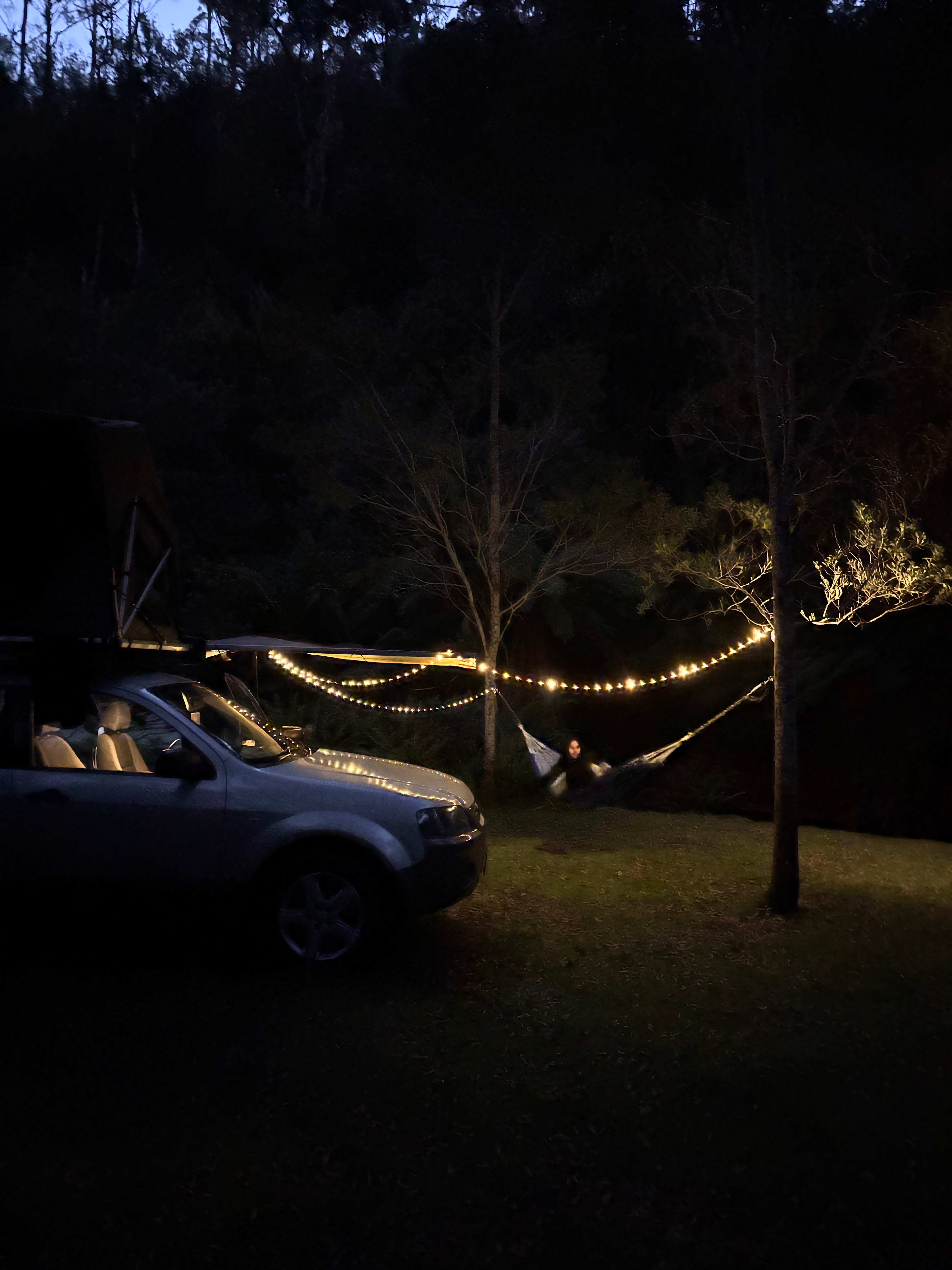 🐞🌿 Ladybug Camping 🌿🐞