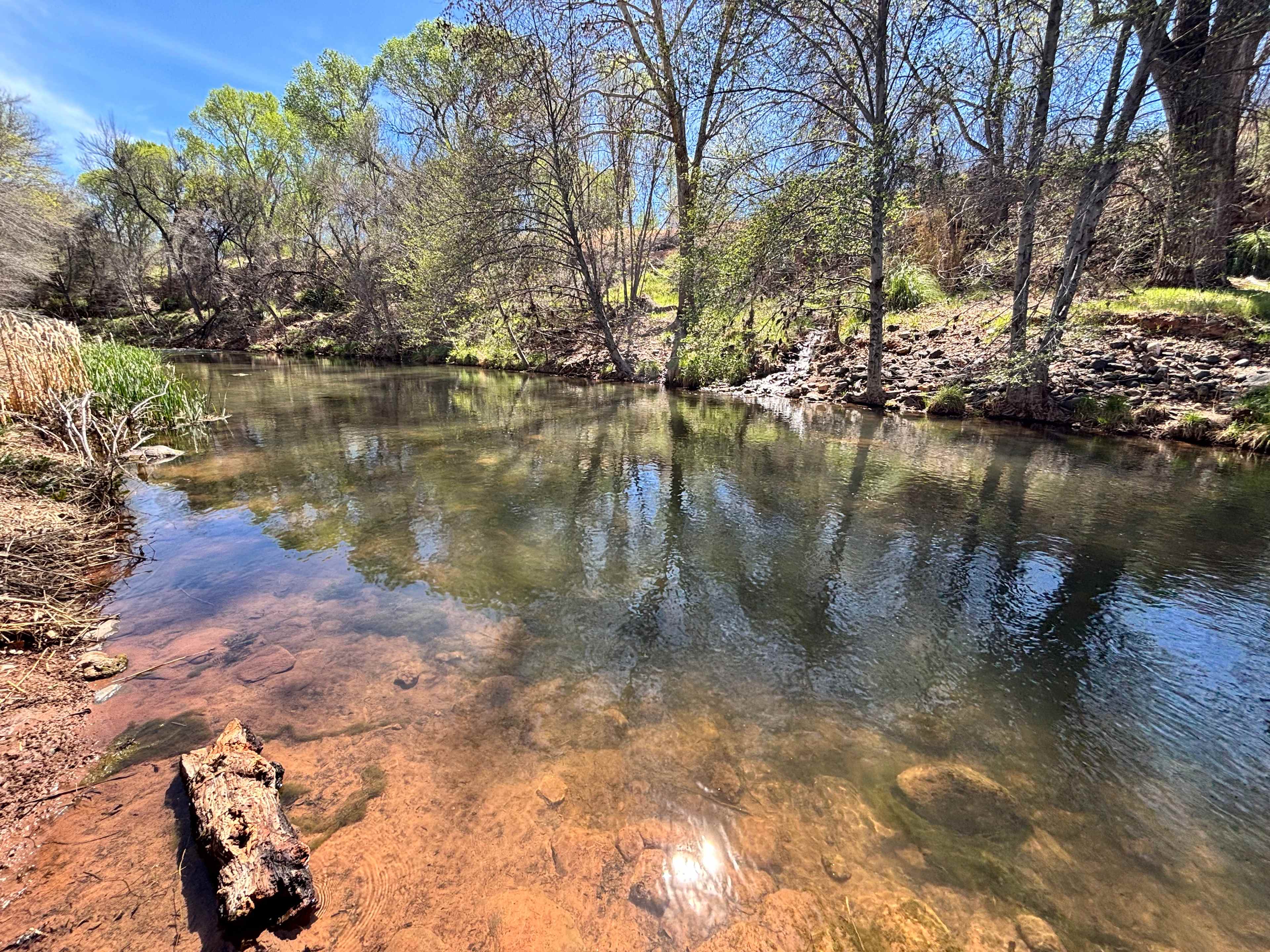 Gorgeous creek access 