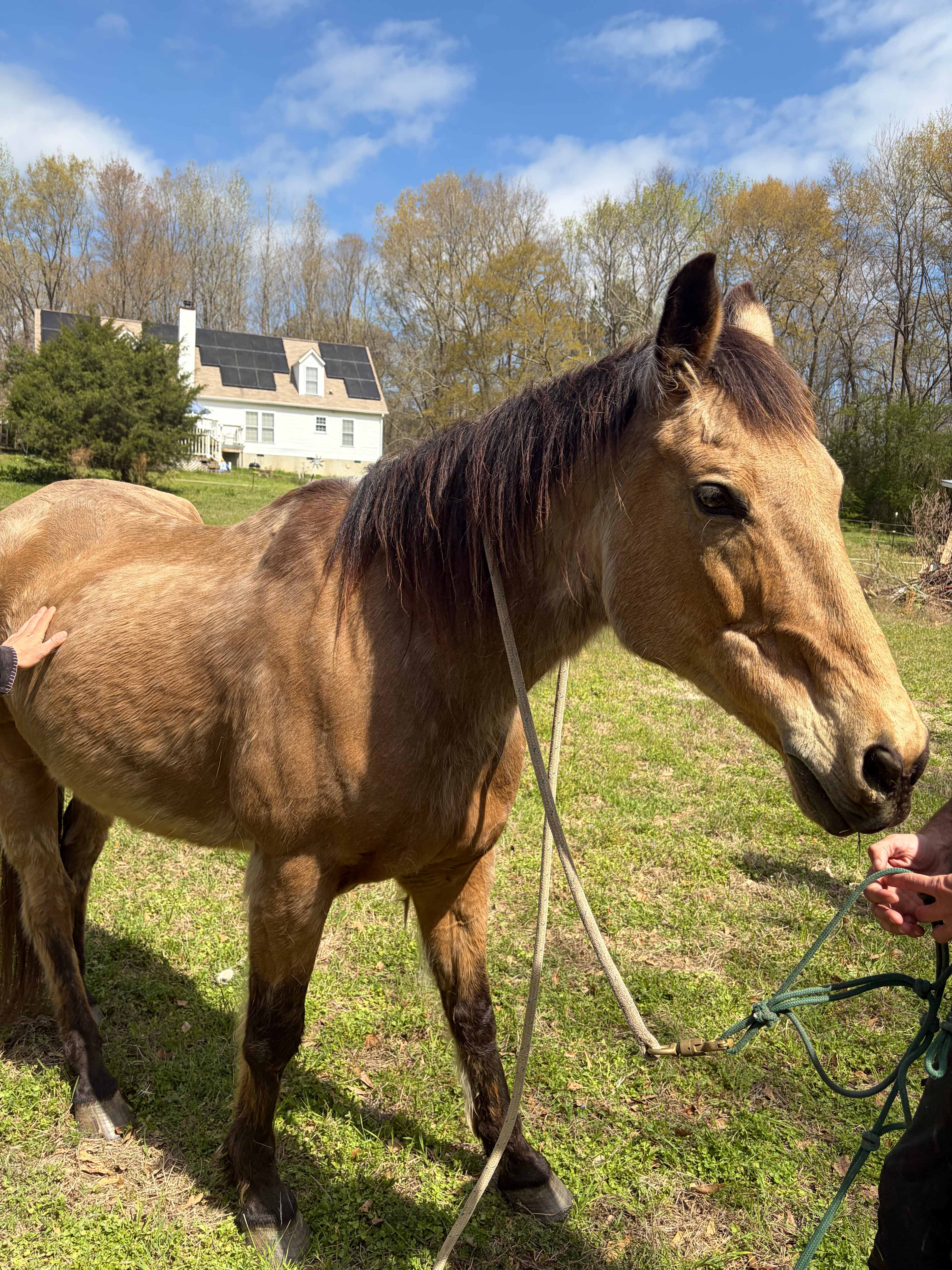 River Farm on the Neuse River Trail