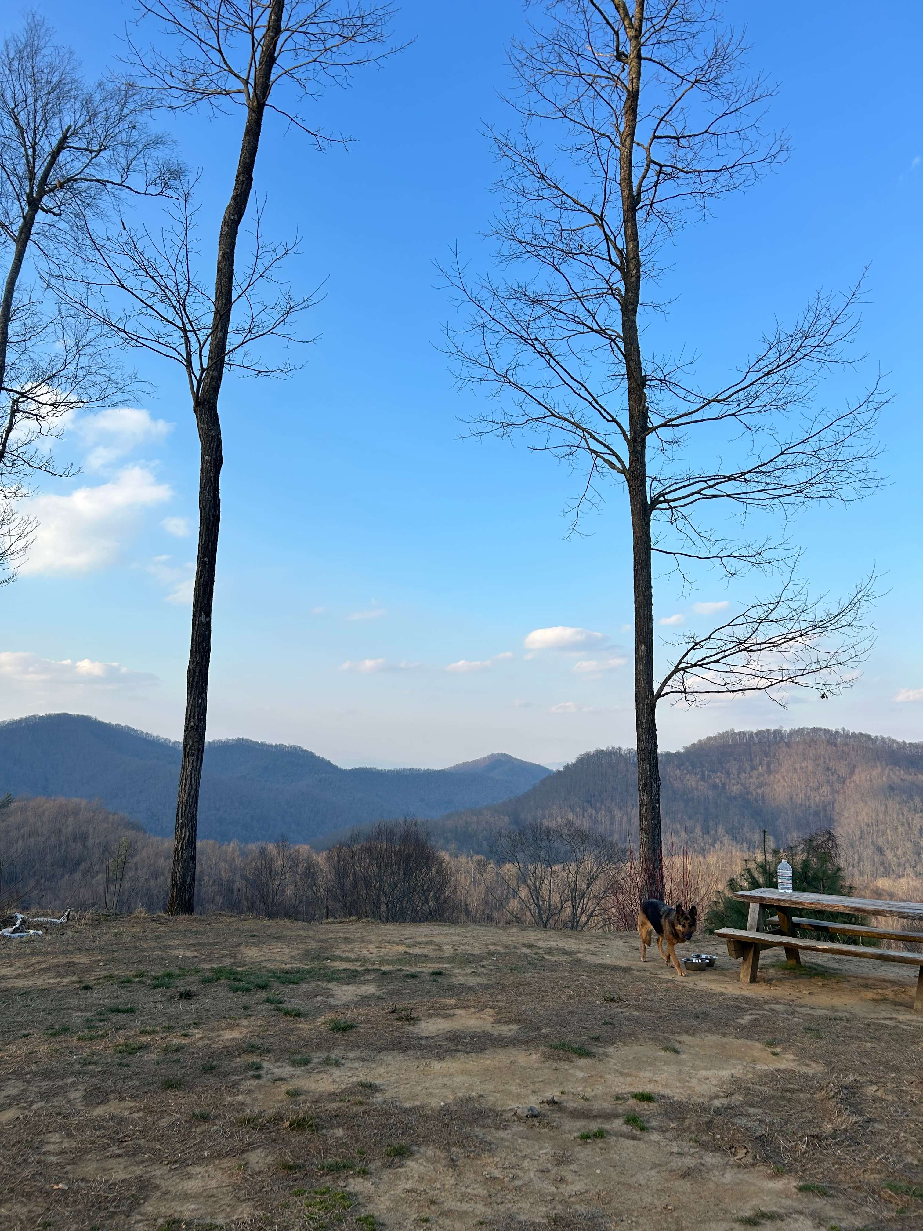Lil Snowbird Farm Primitive Camping