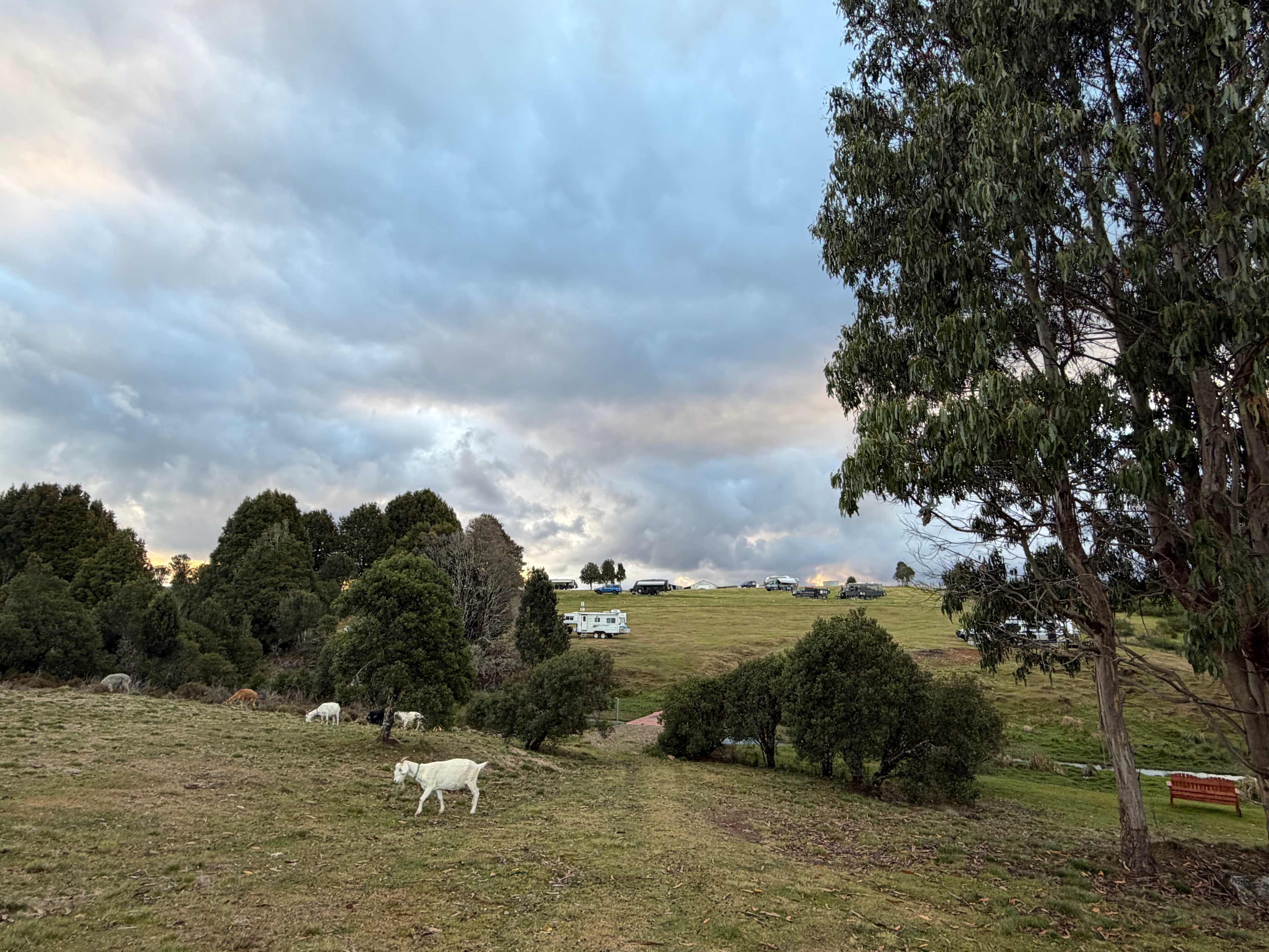 View from top of camping space back toward the entrance of property. 