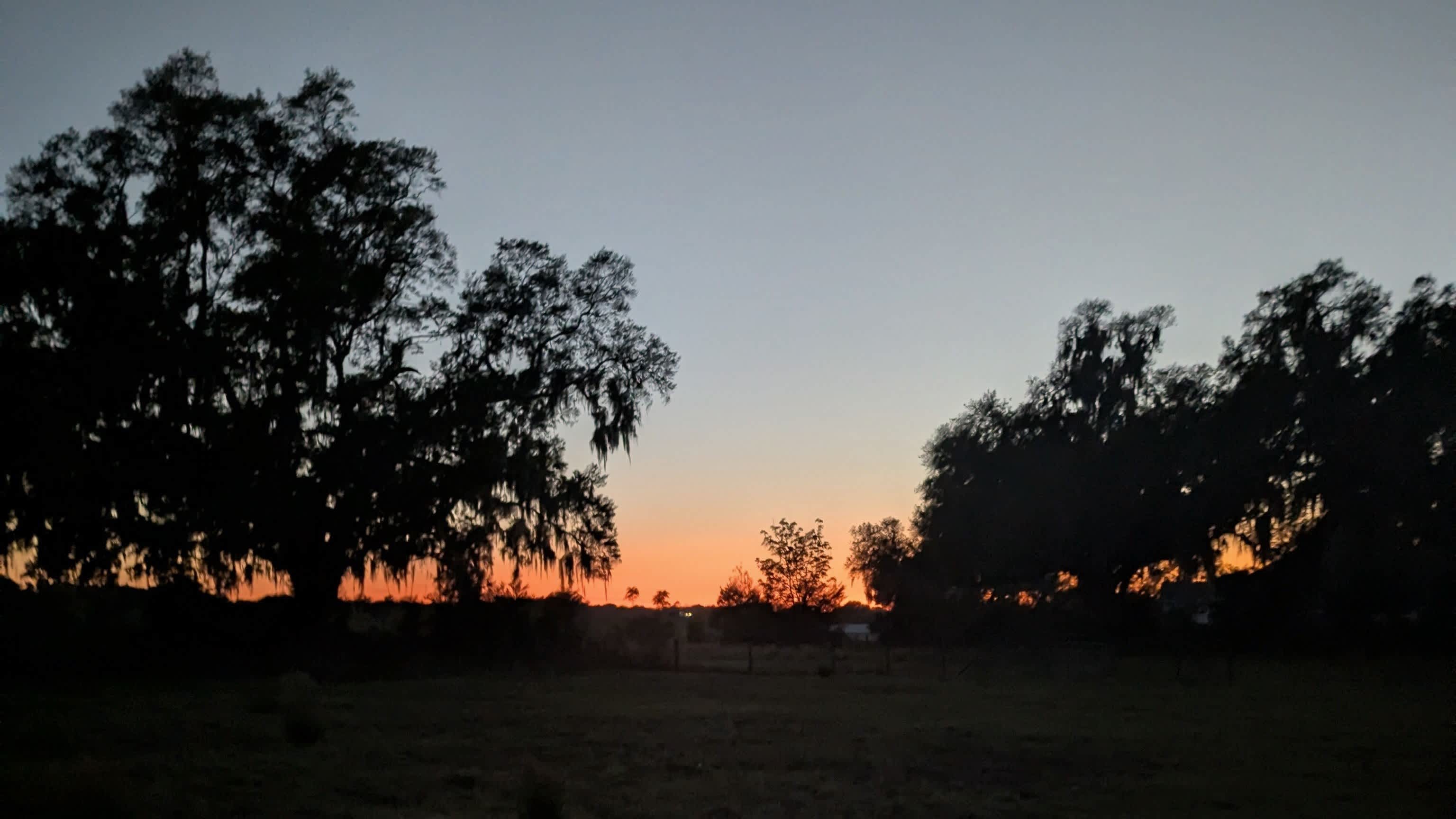 Pennylane Farm