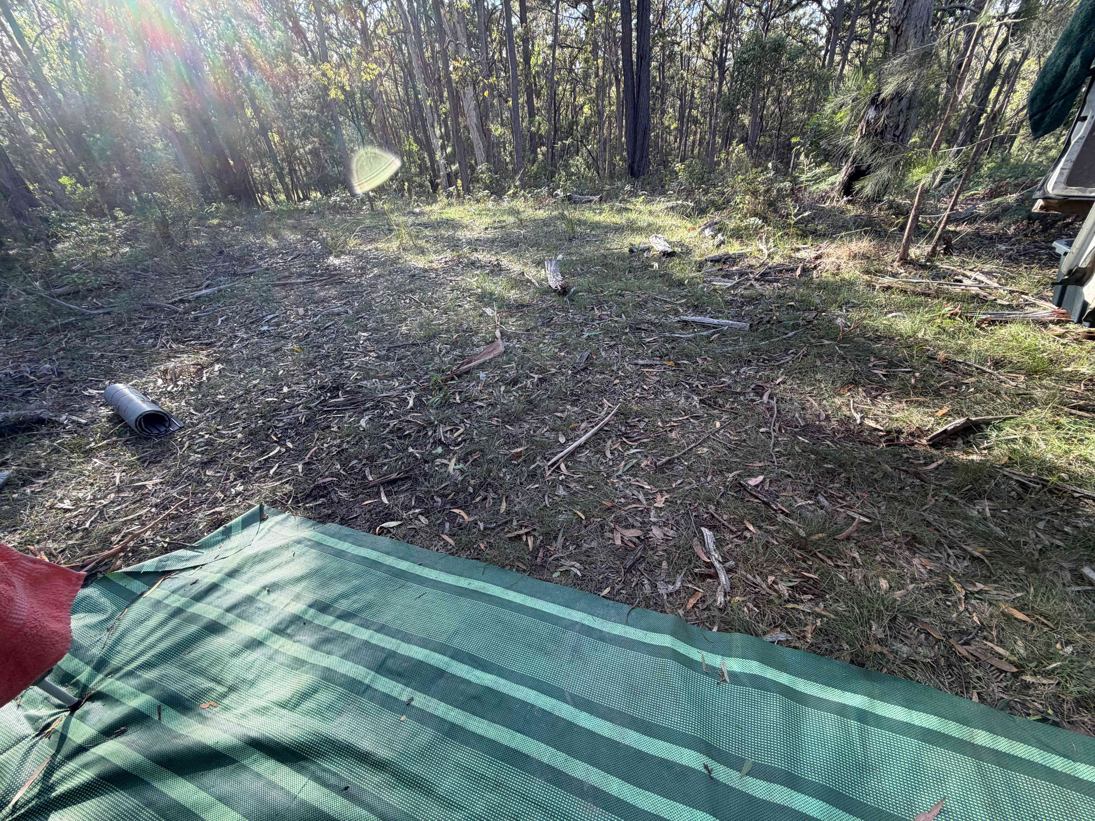 Picture of the site
