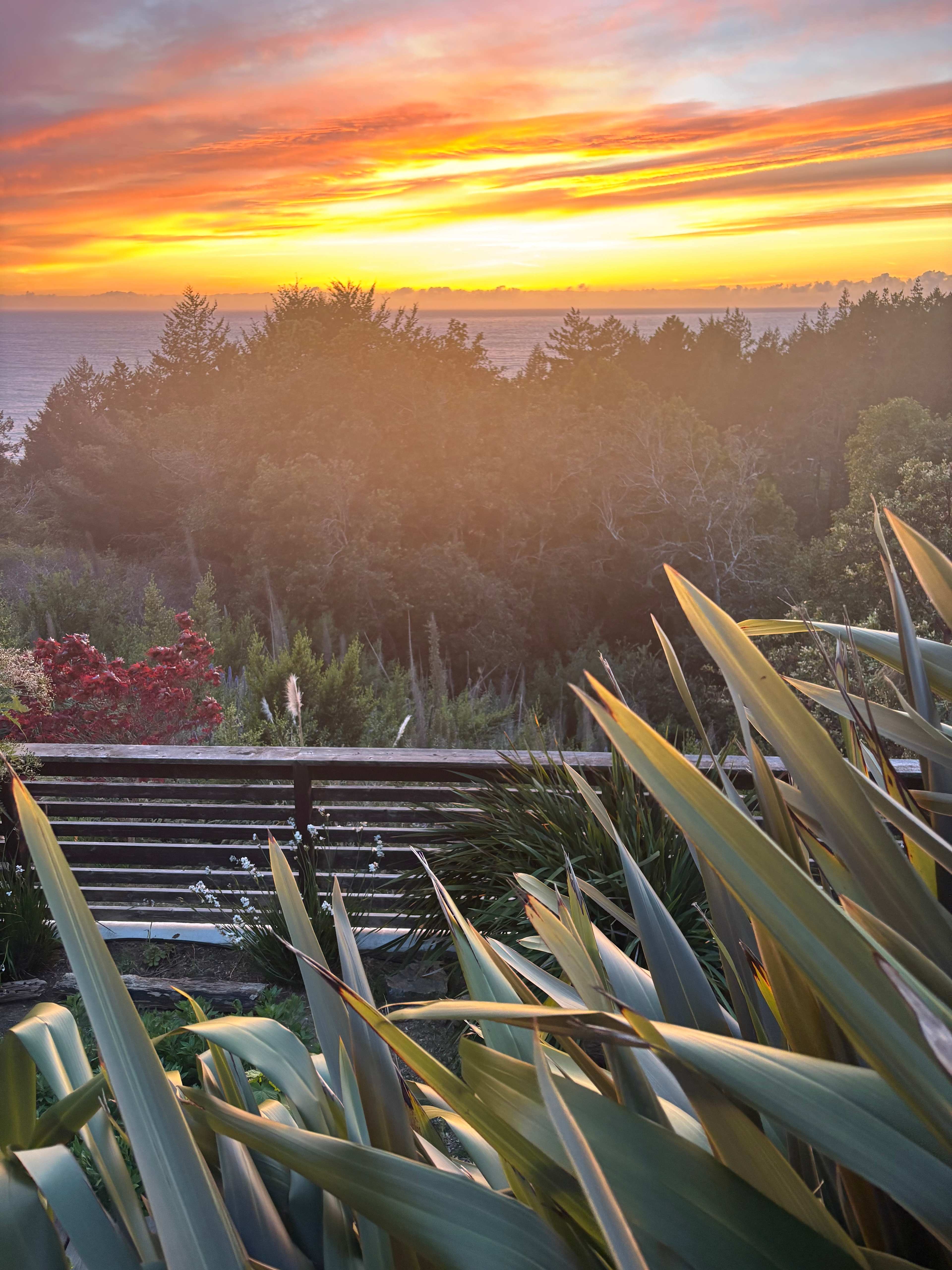 Lost Coast, Oceanview Retreat