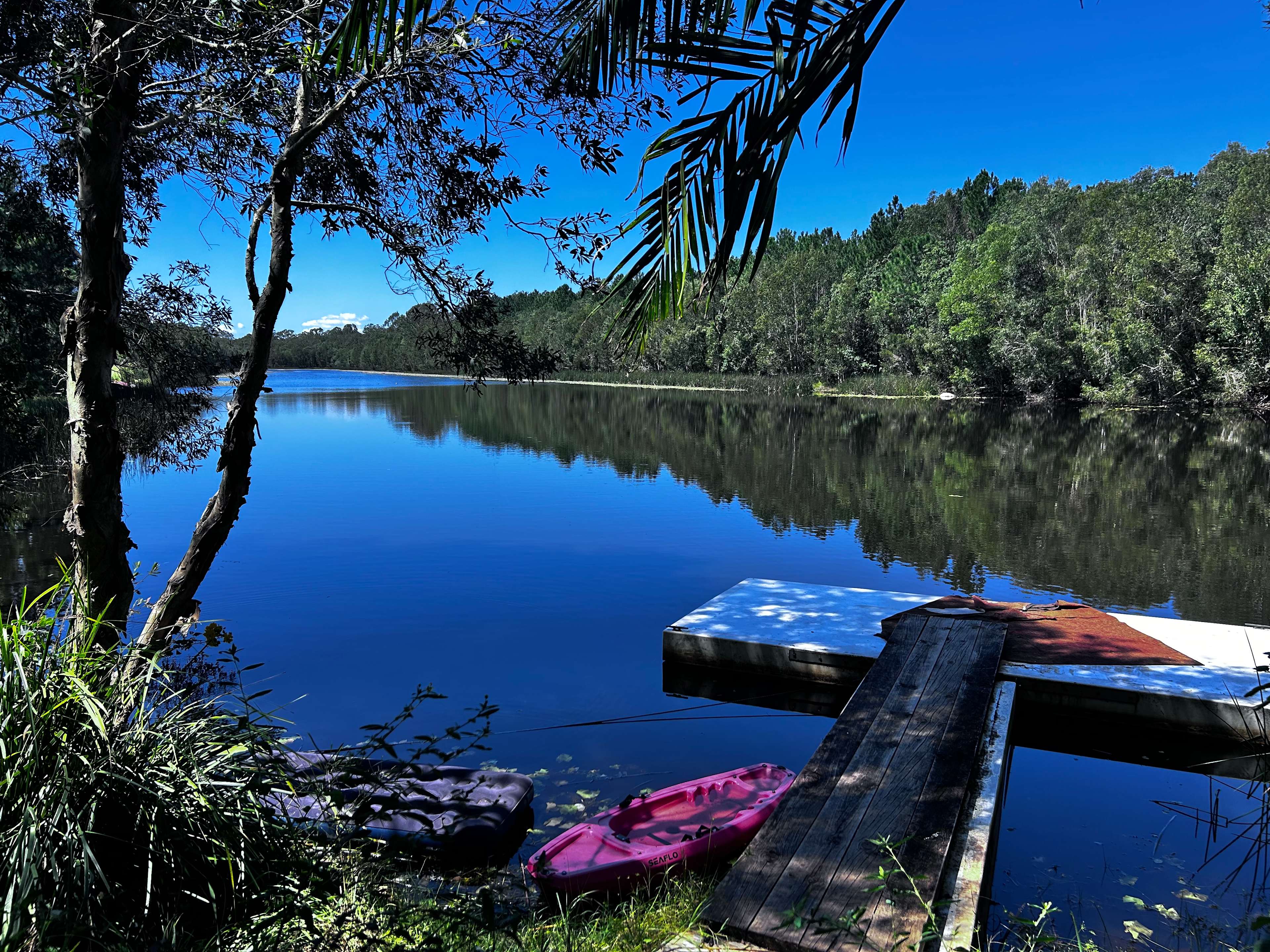 Bushywood at Woodfordskilake
