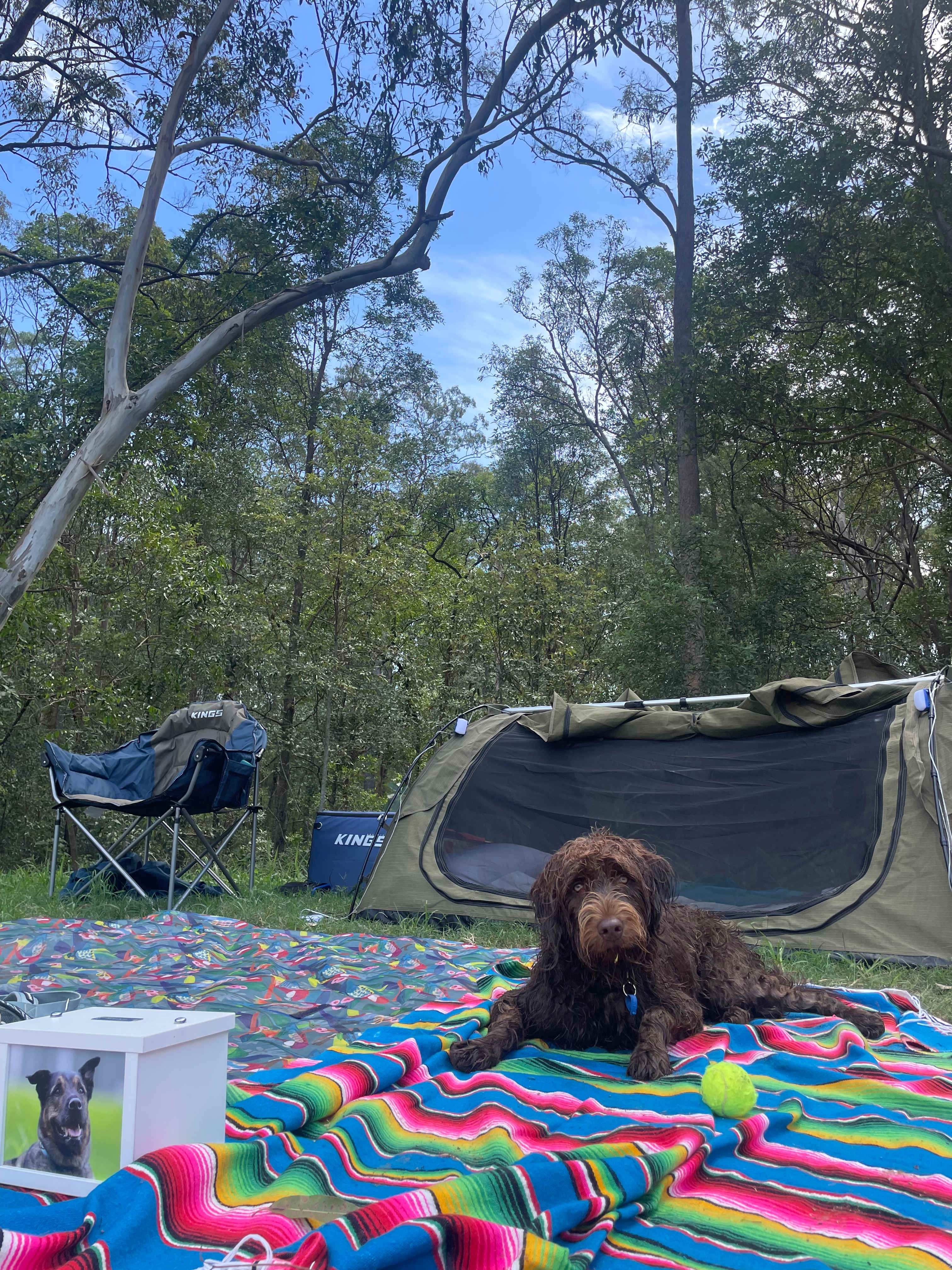 The Rustic Resort Wamuran