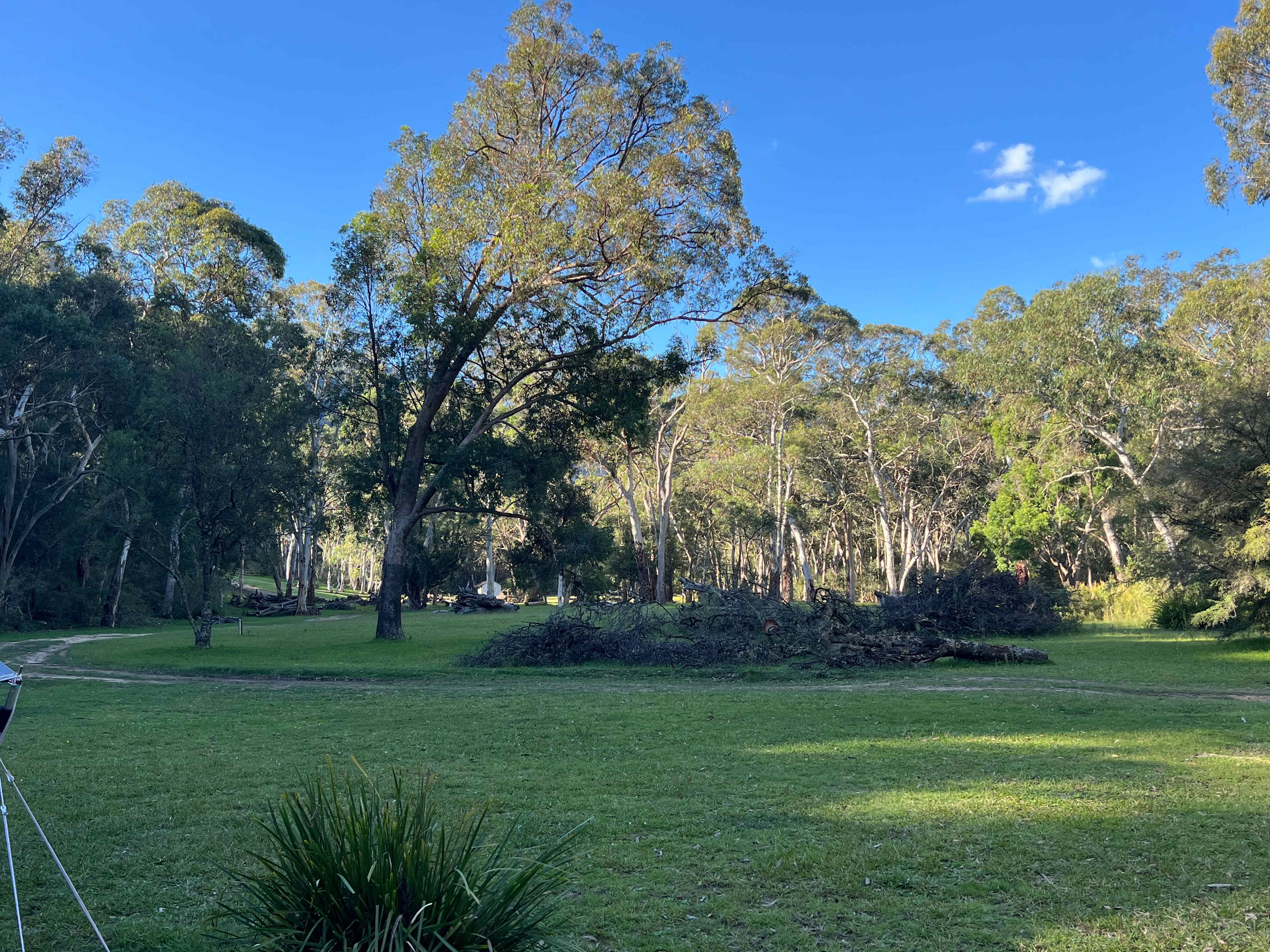 Nellies Glen Camping