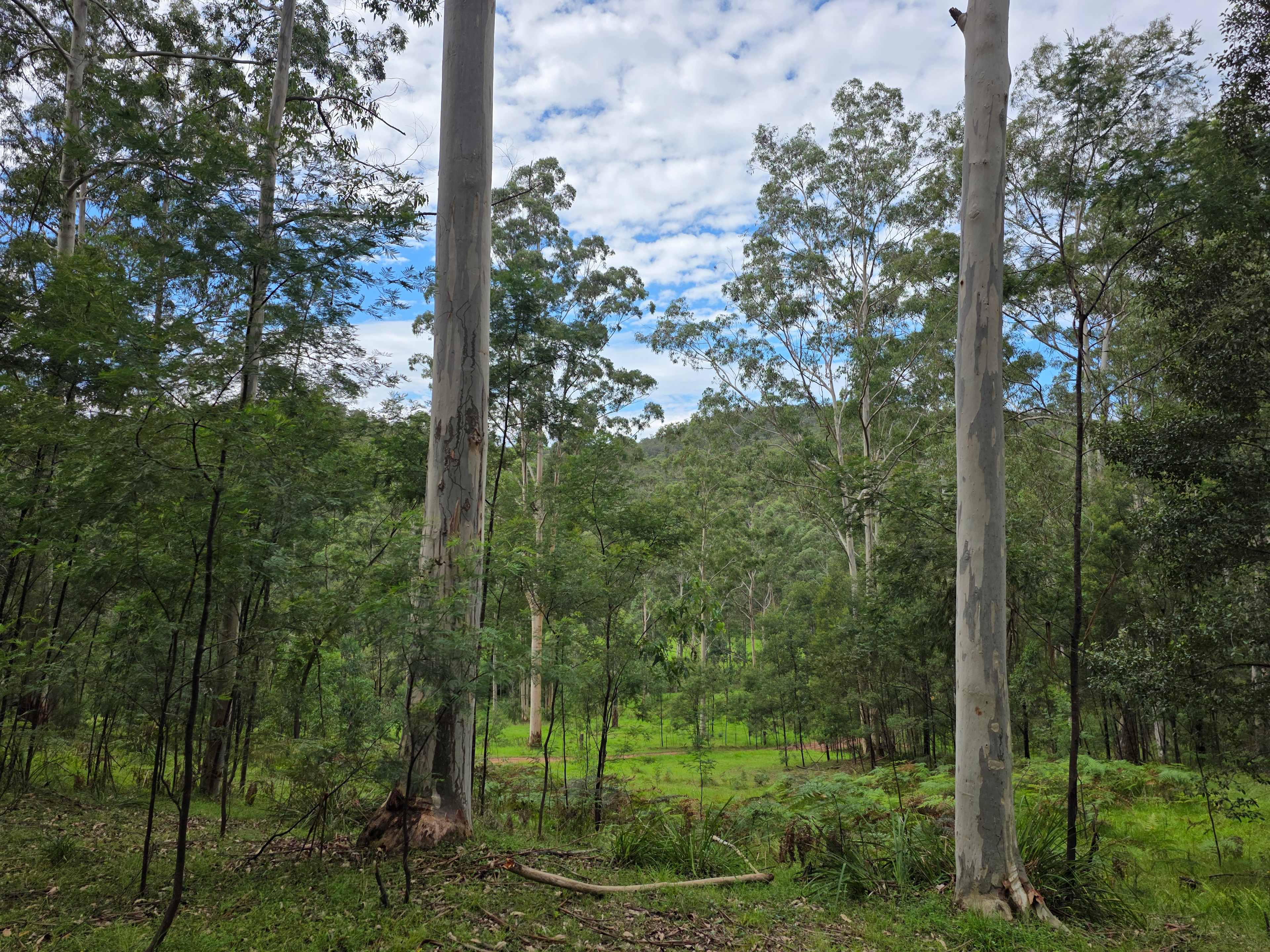 Tanglewood Bush Camp - Putty NSW
