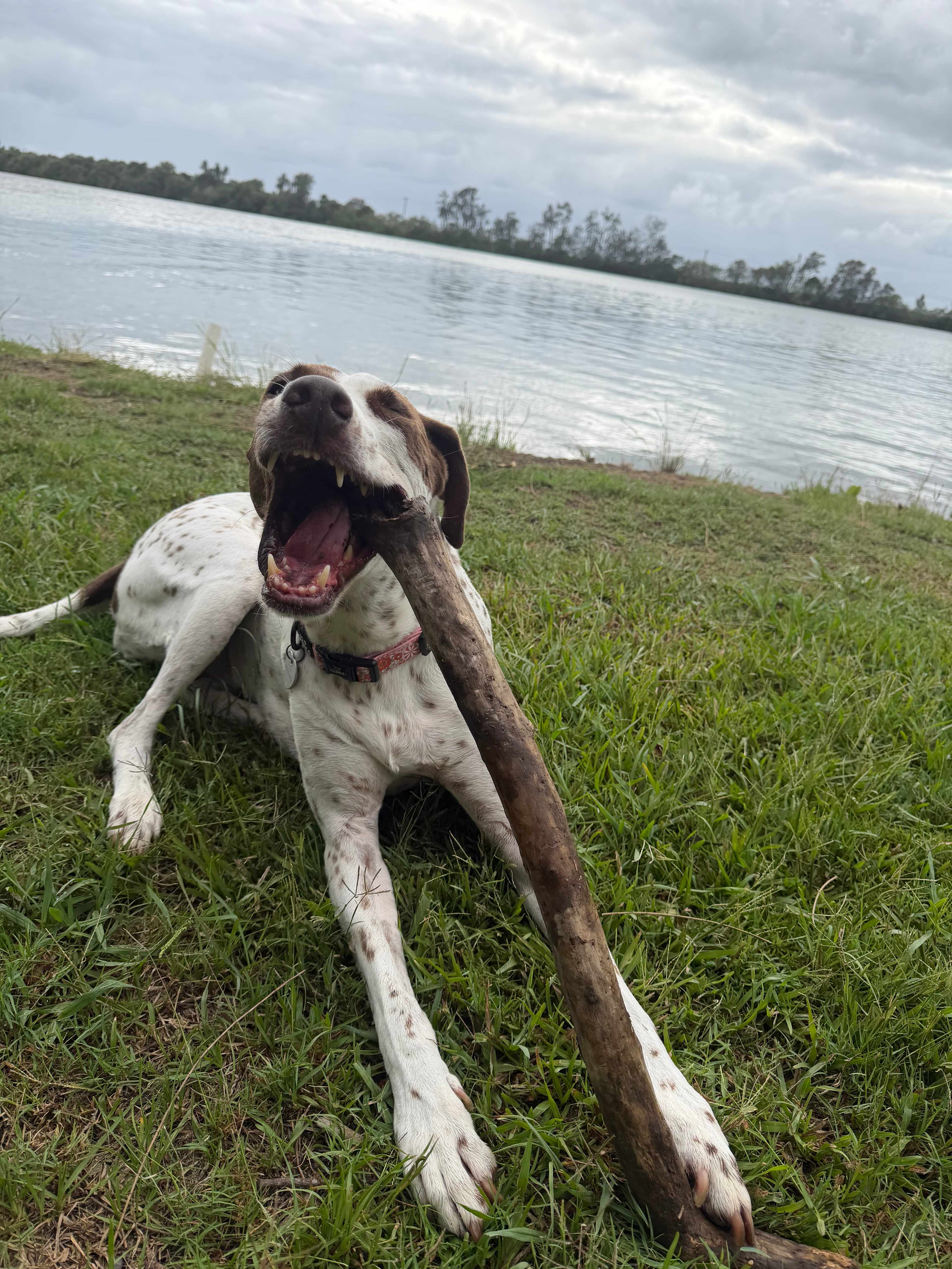 River Views - Ashby Island Paradise