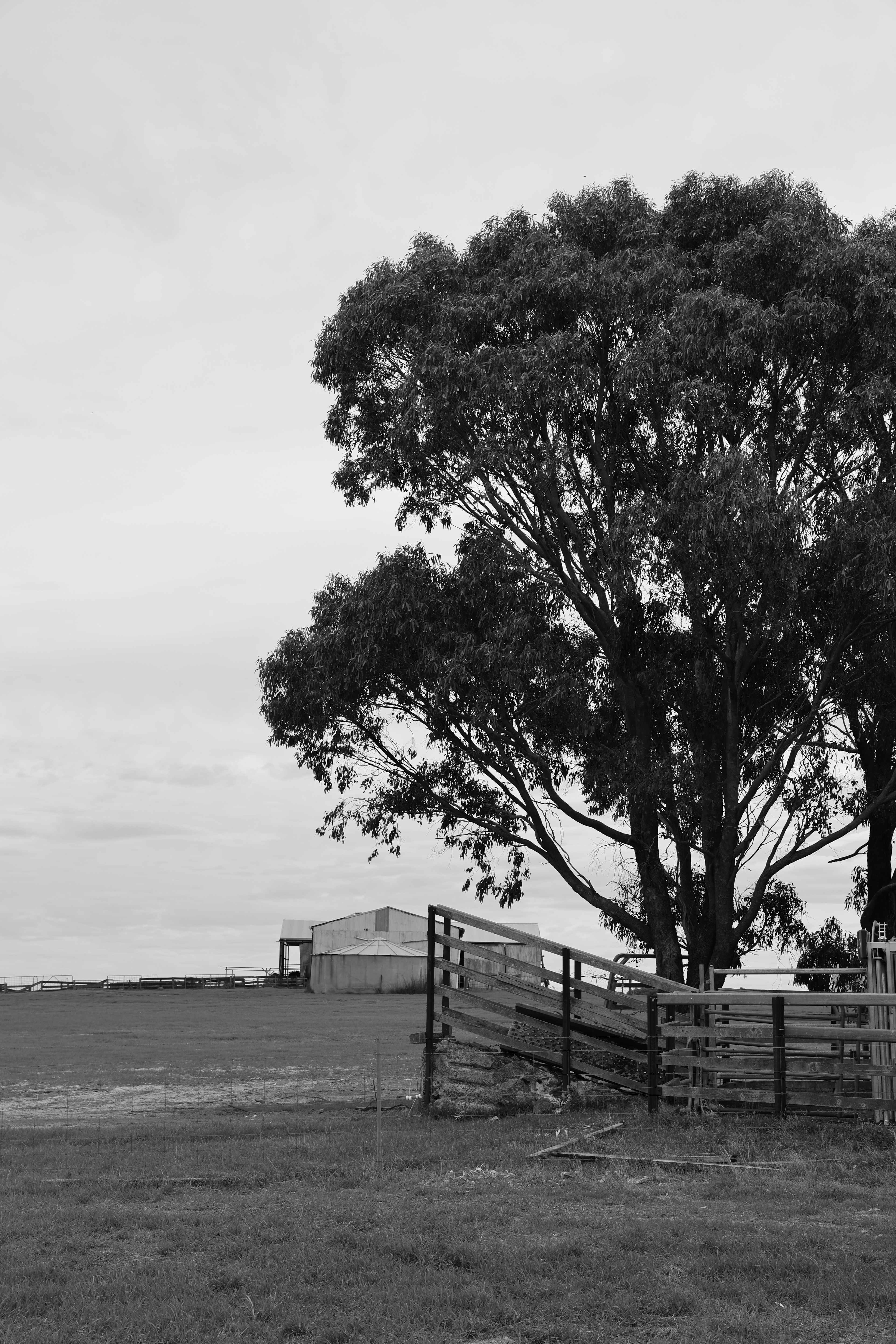 Munglinup Farm Stay
