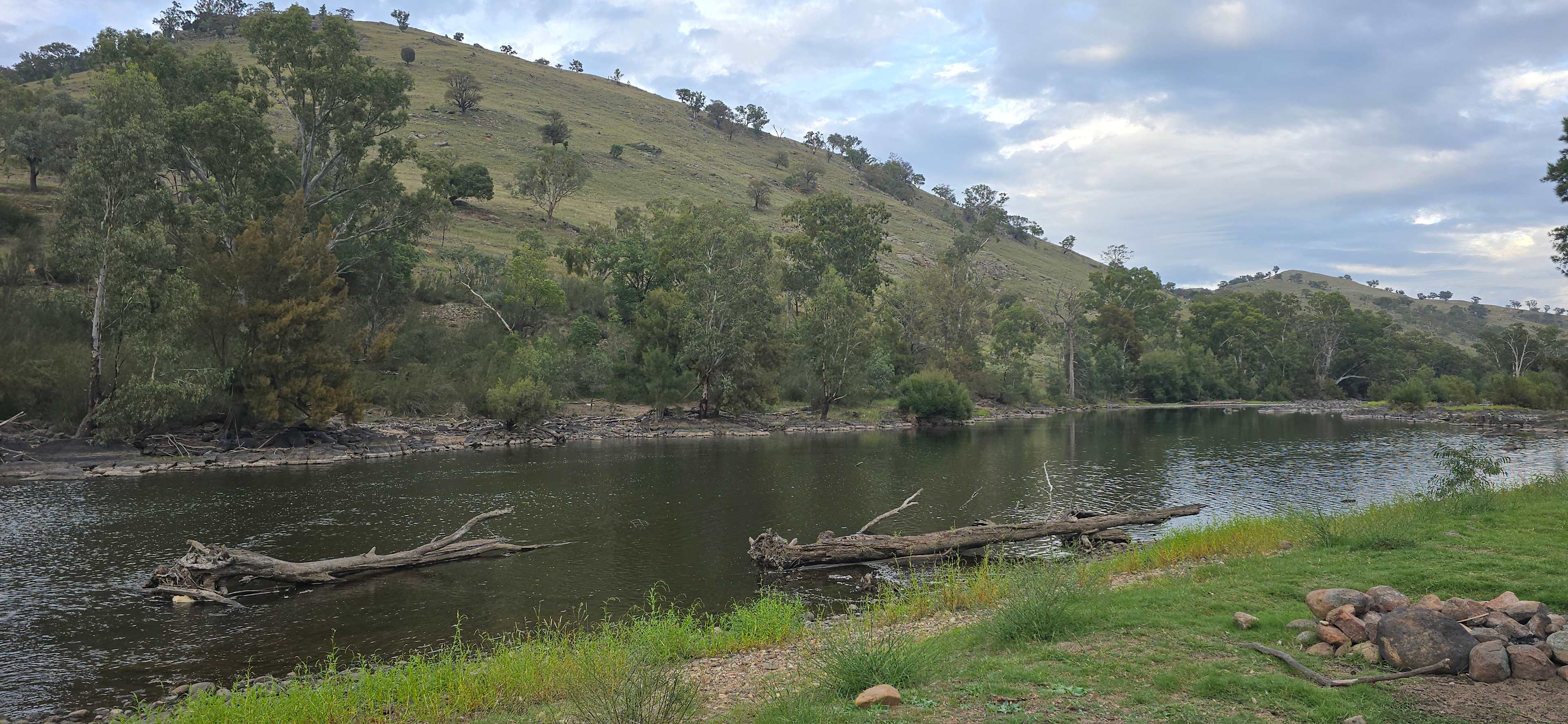 Jarabin on the Murrumbidgee