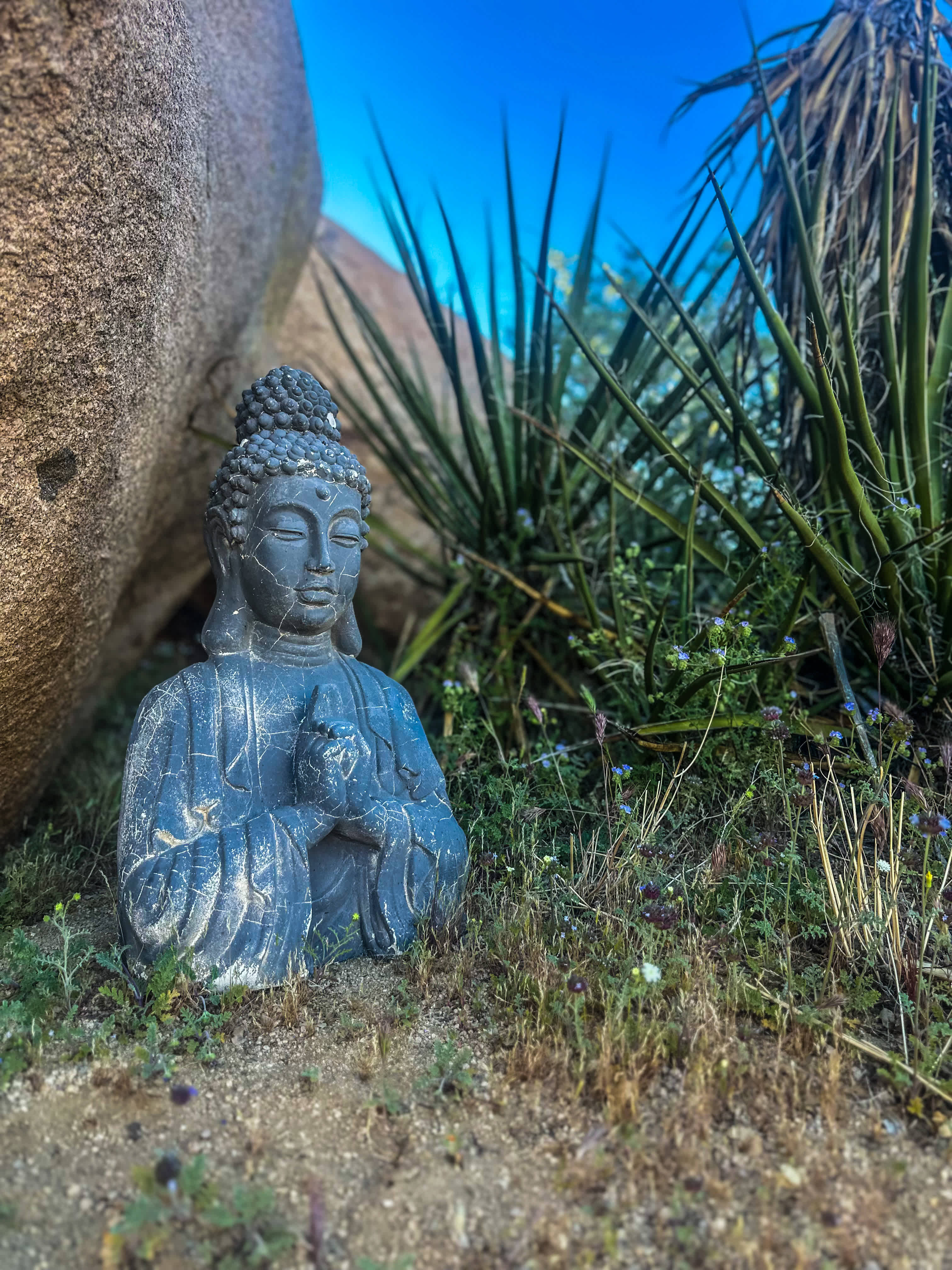 Boulder Gardens Sanctuary