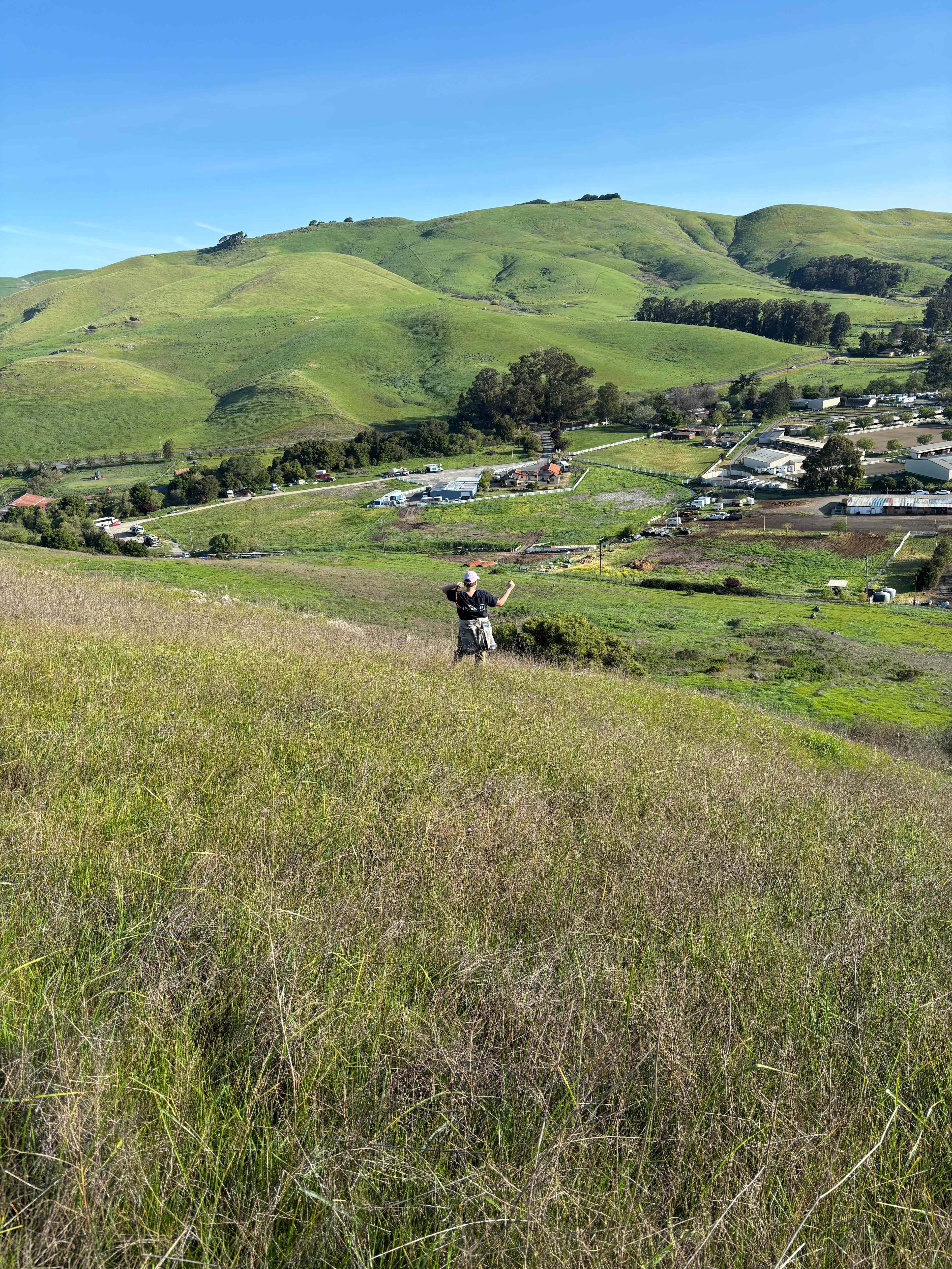 Camp Westy Wine Country