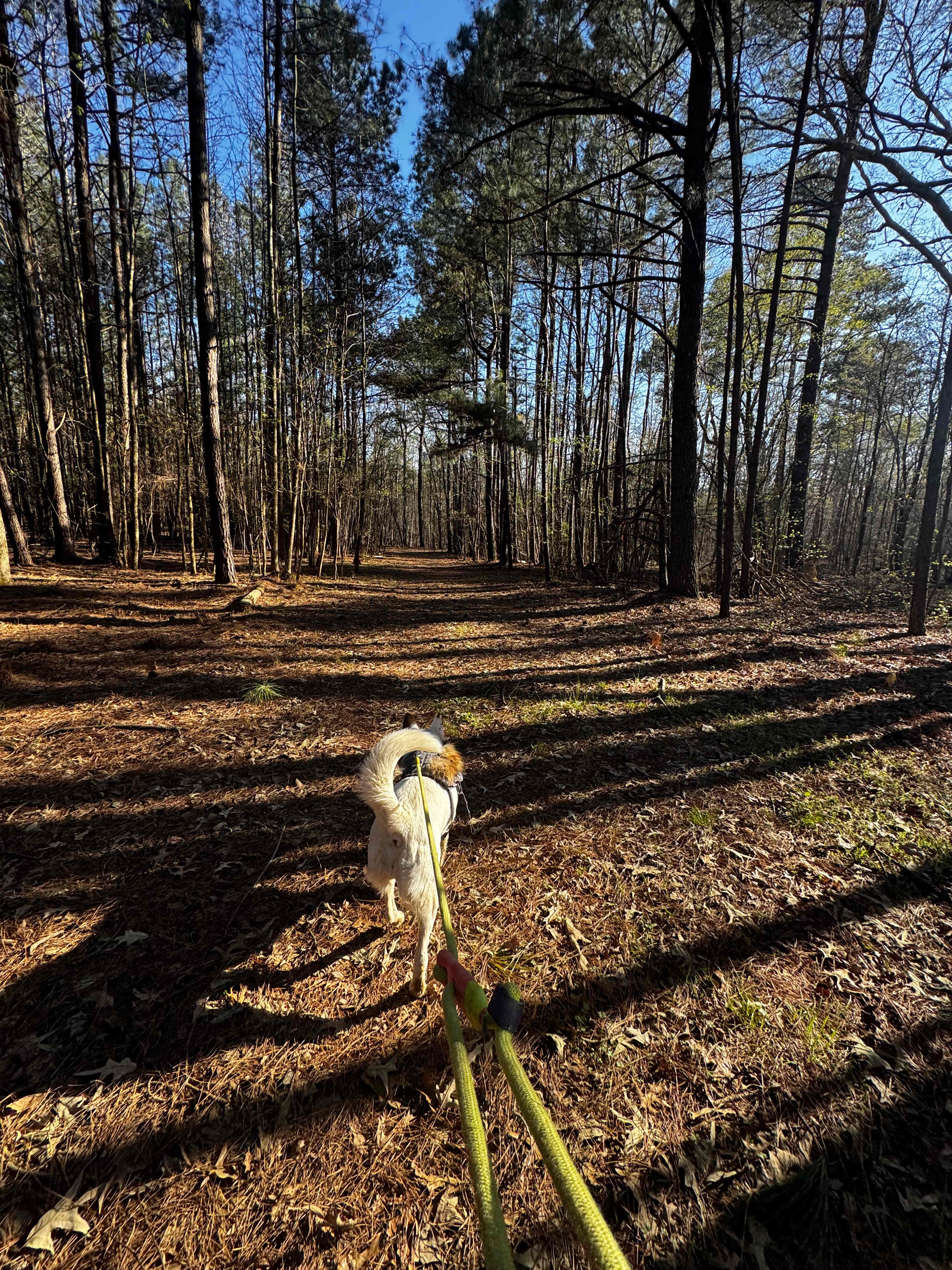 Hiking the trails 