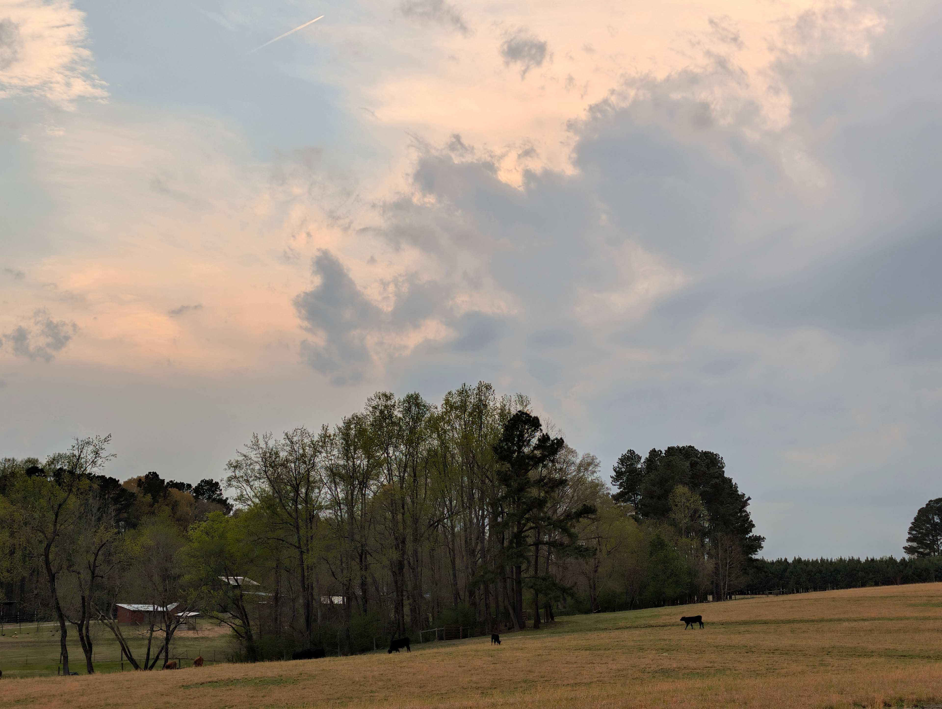 Kerr Lake Glamping at Holly Forest