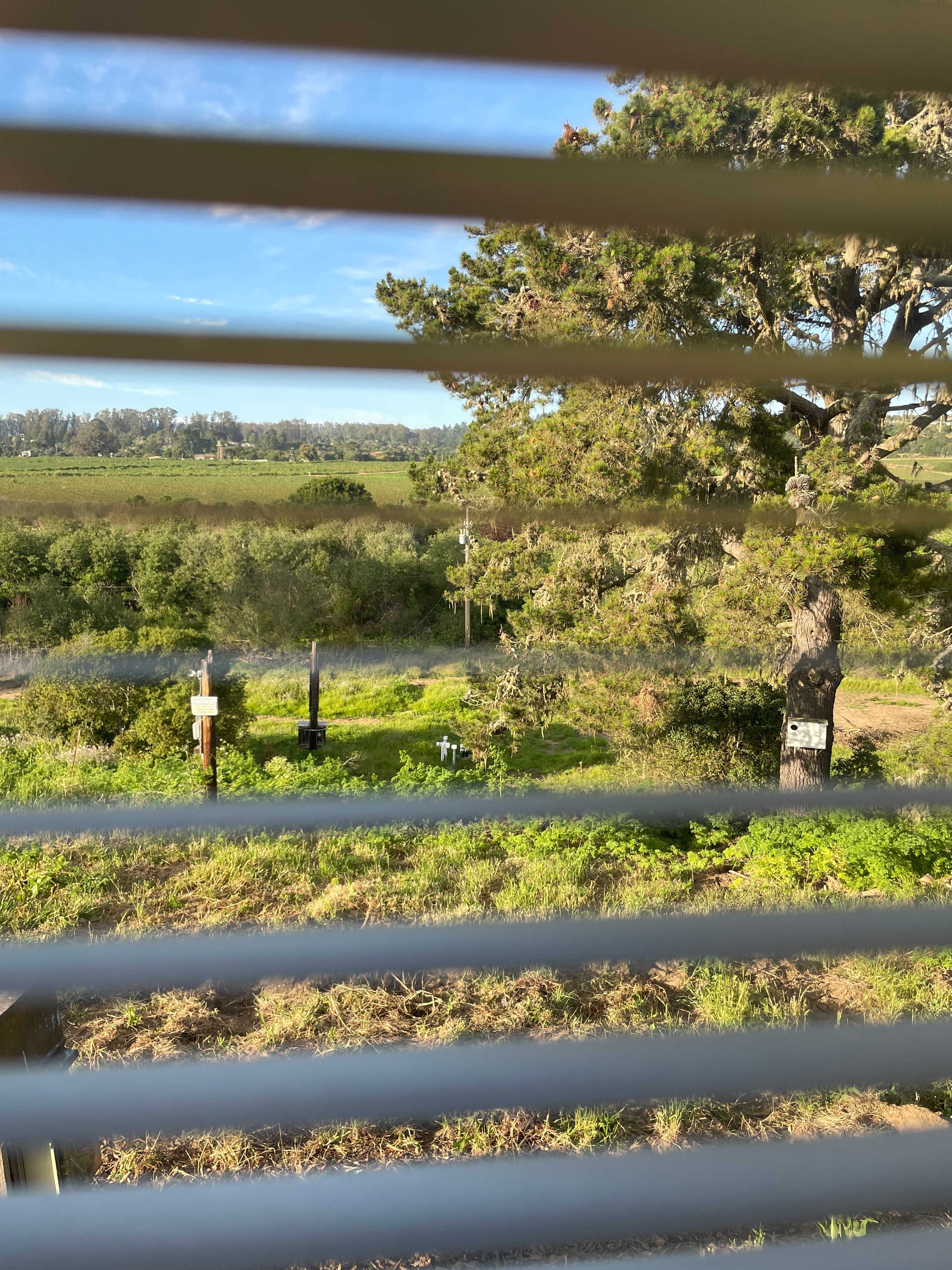 View out the back window.