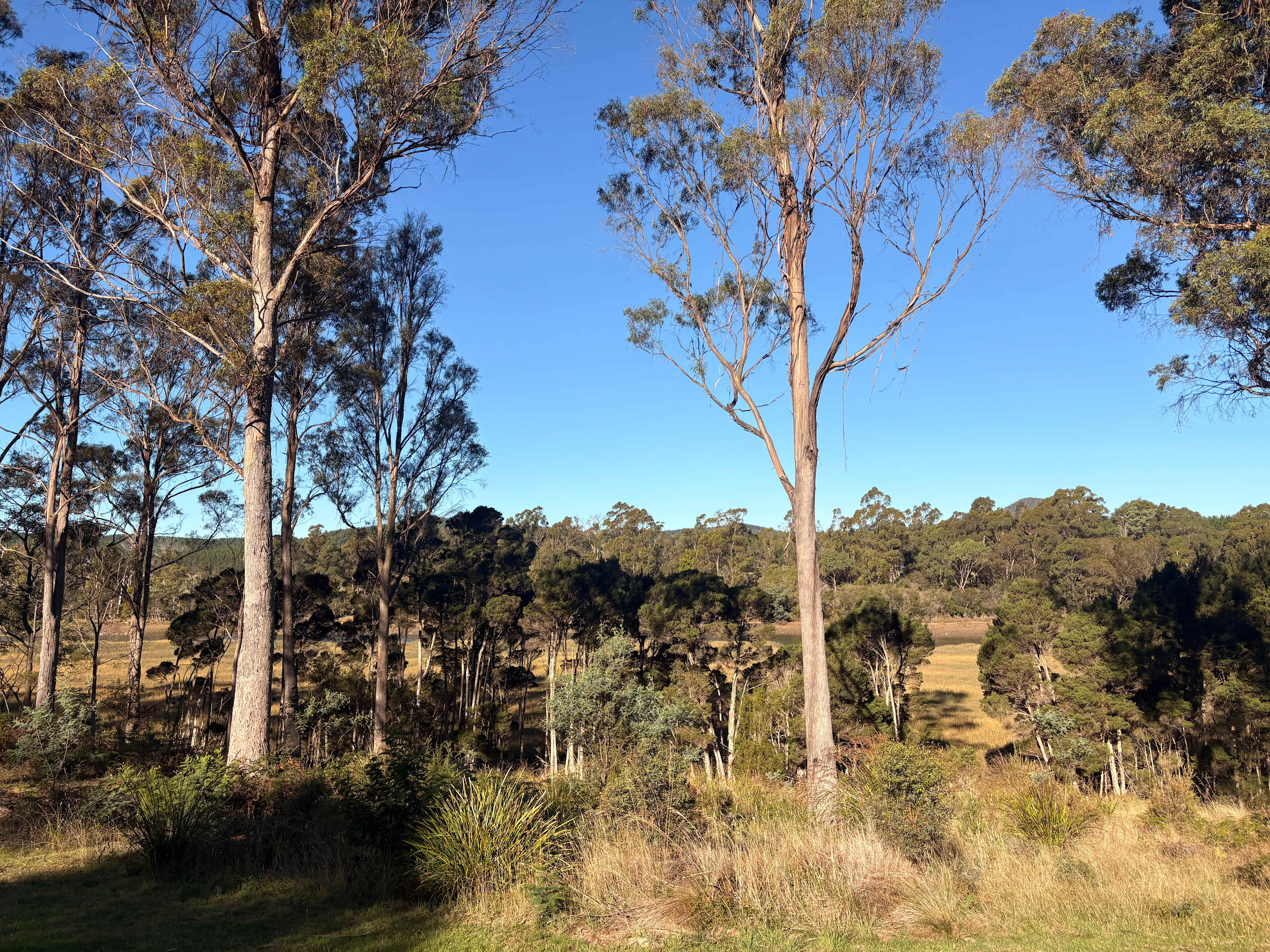 Farm on Franklin - Tasmania