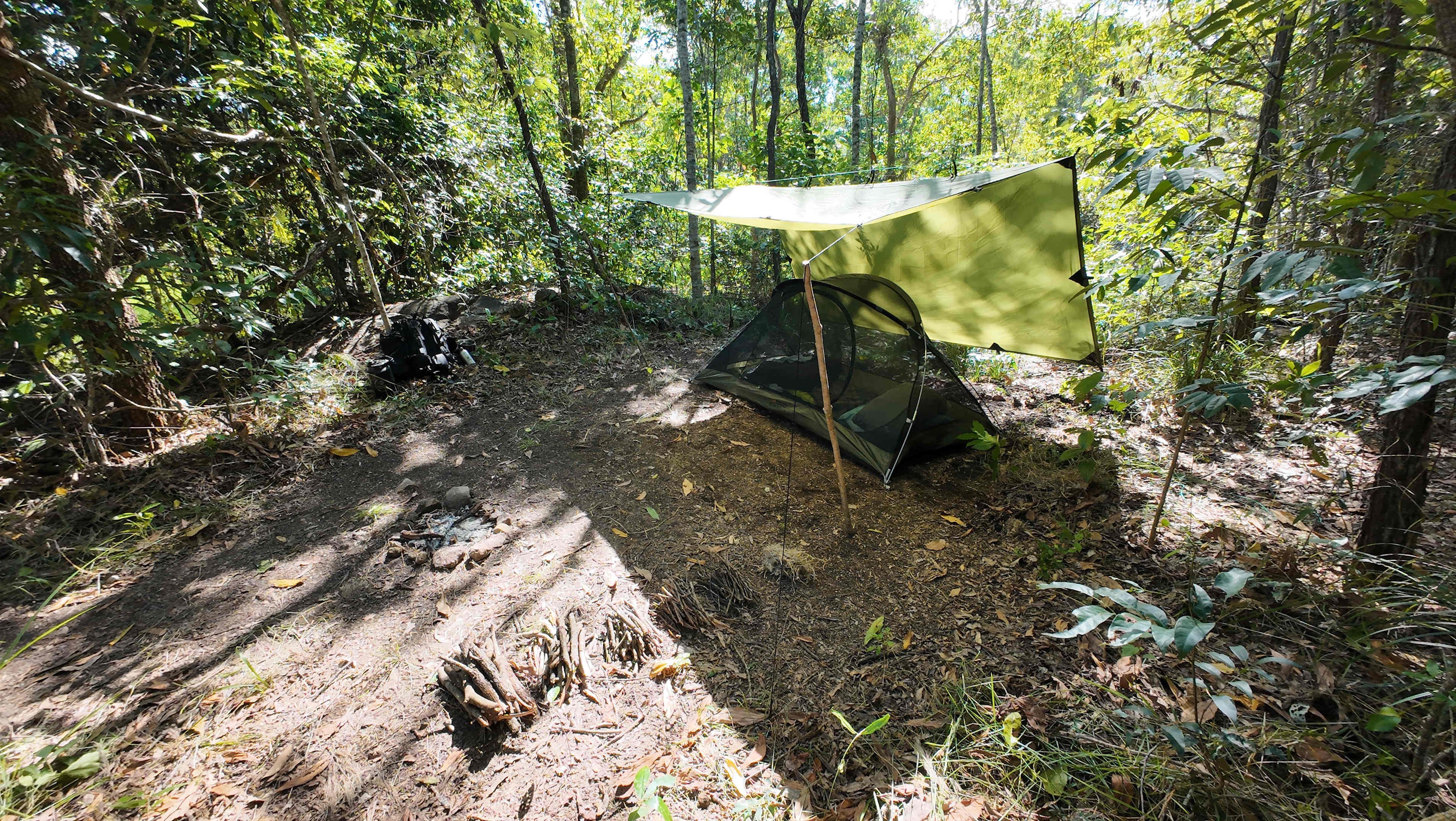 Rainforest Creek Camping