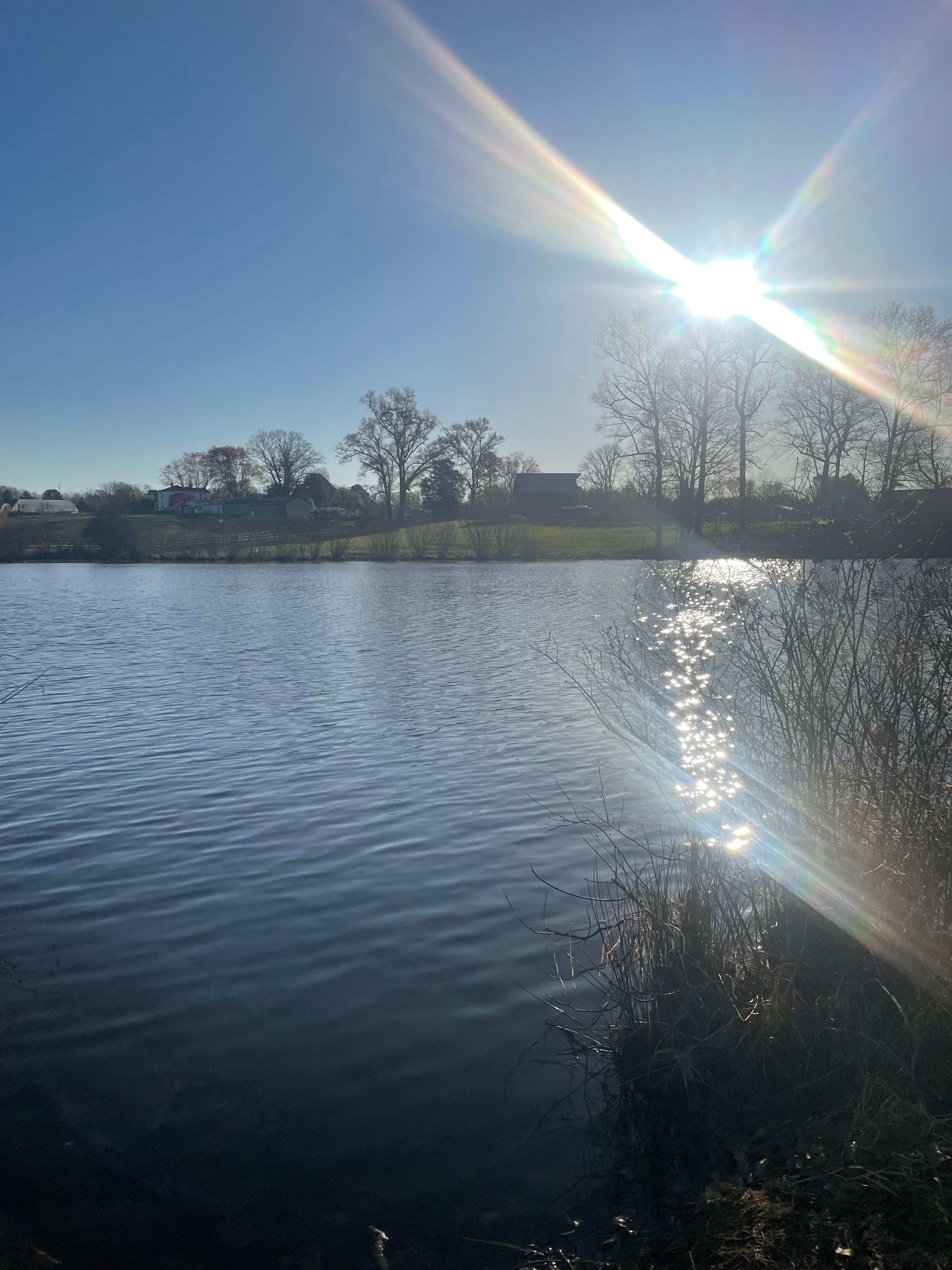 Sunrise by the Pond