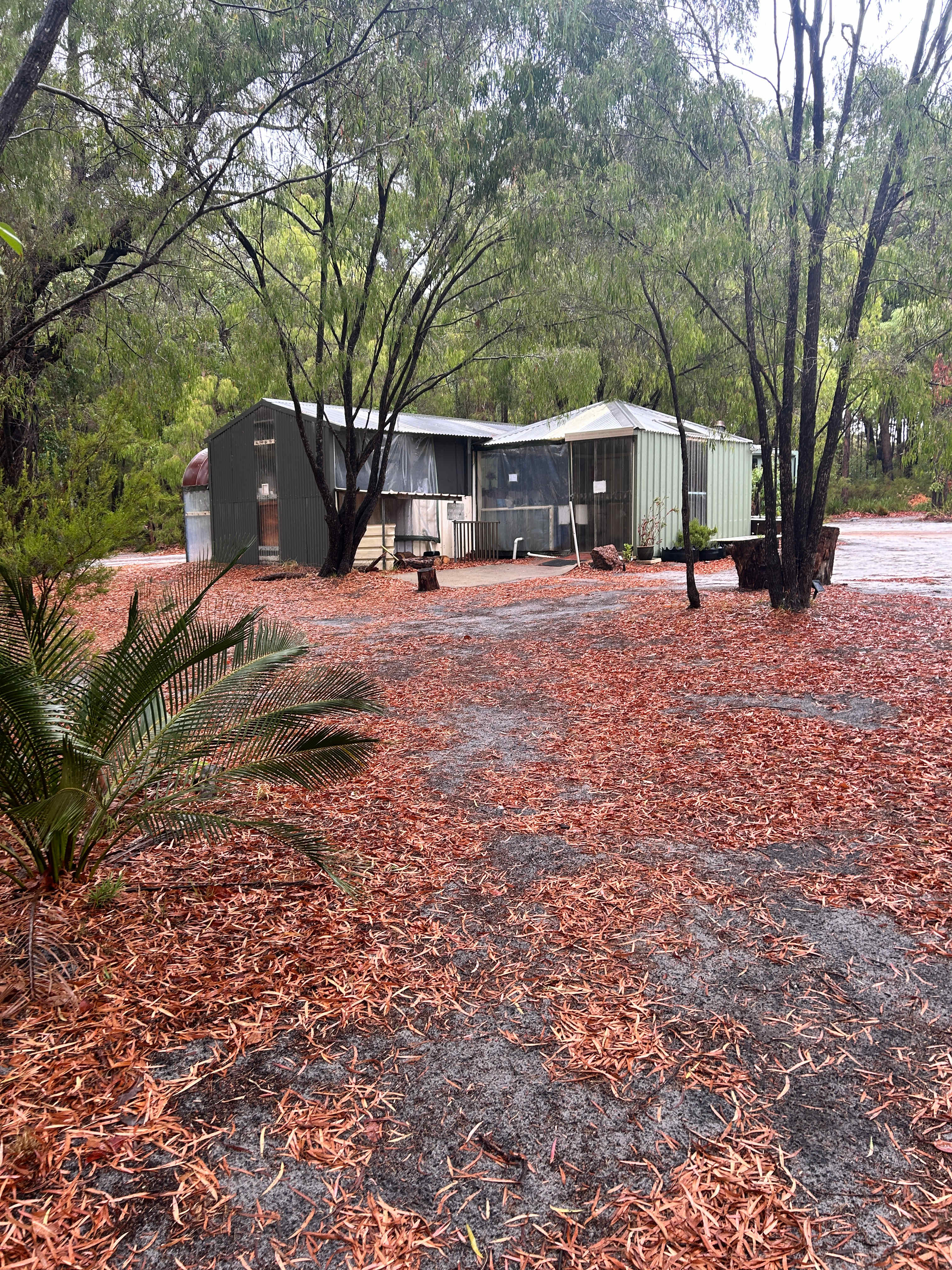 Extensive camp kitchen