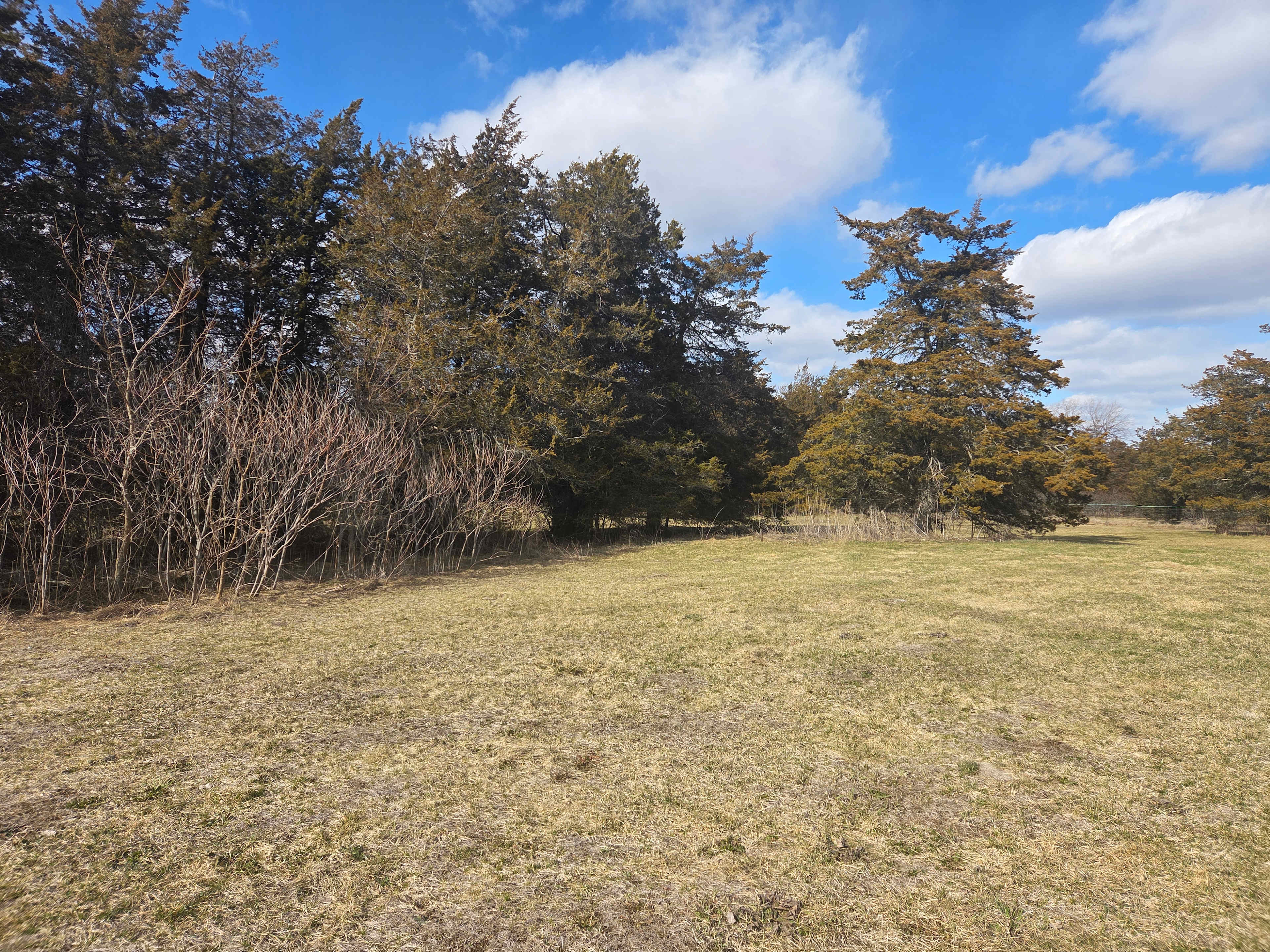 

Spacious, level campsite with easy access and plenty of room for RVs, campervans, and trailers.
