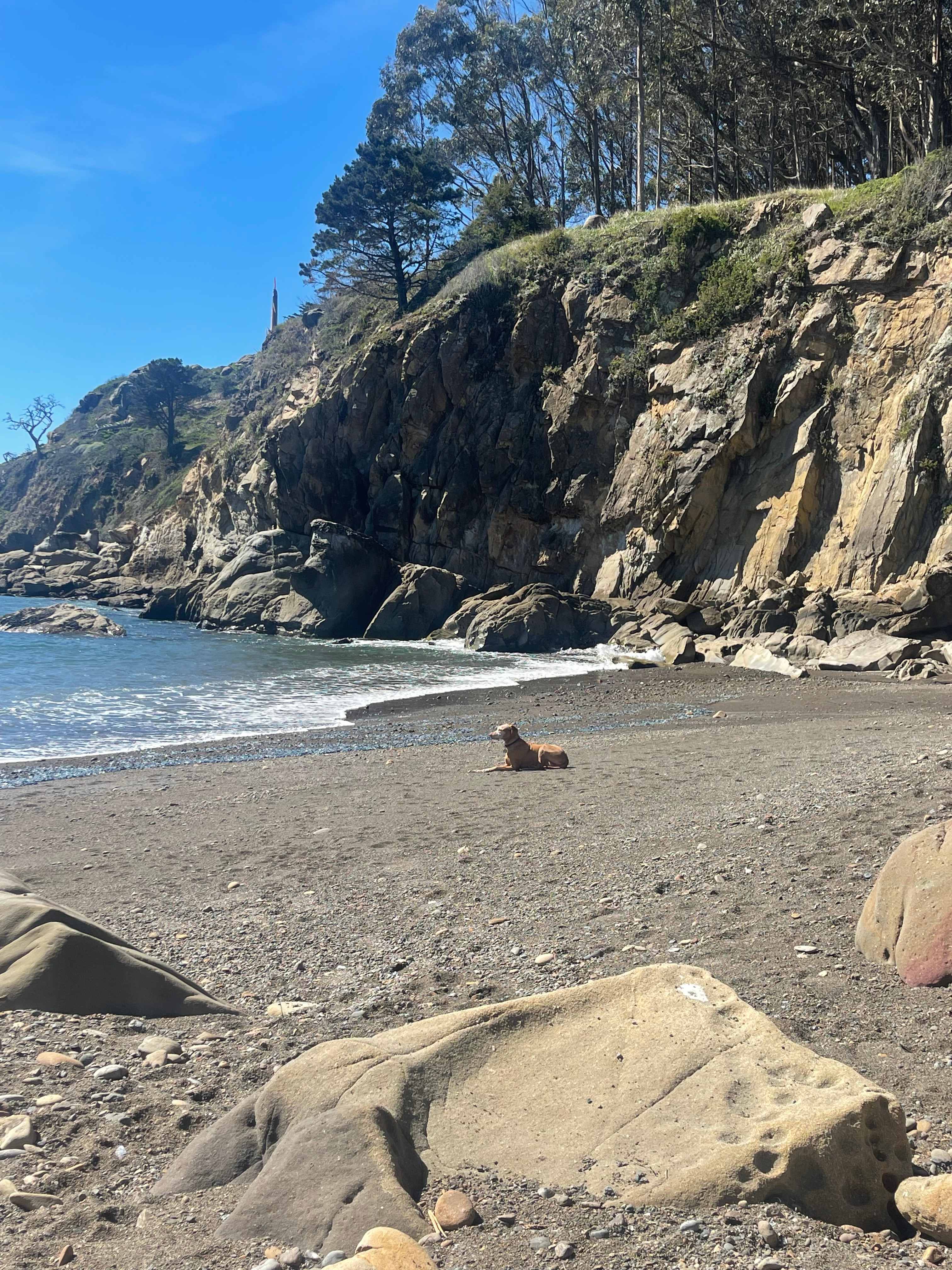 Timber Cove Campground