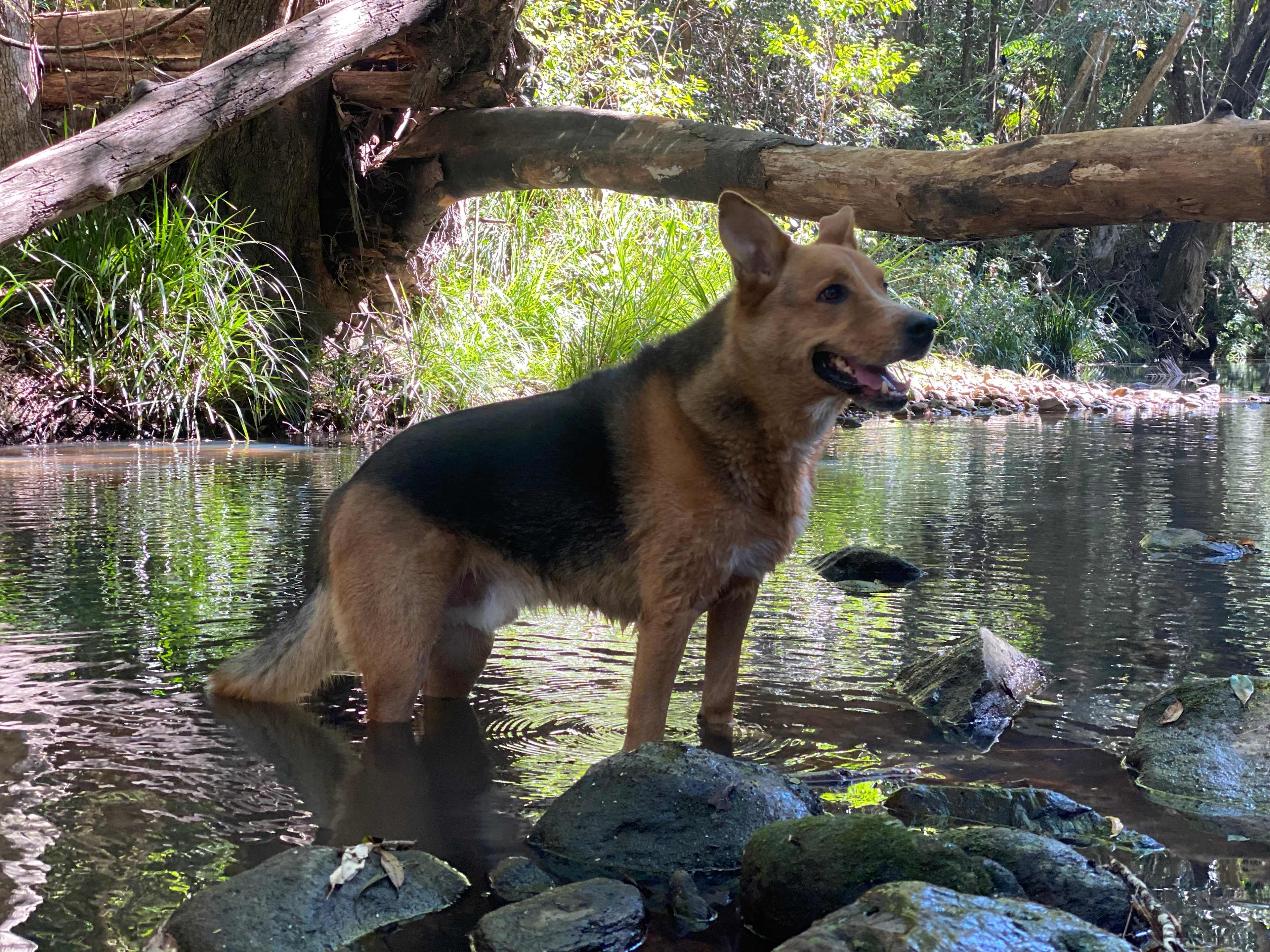 Browns Creek Camping