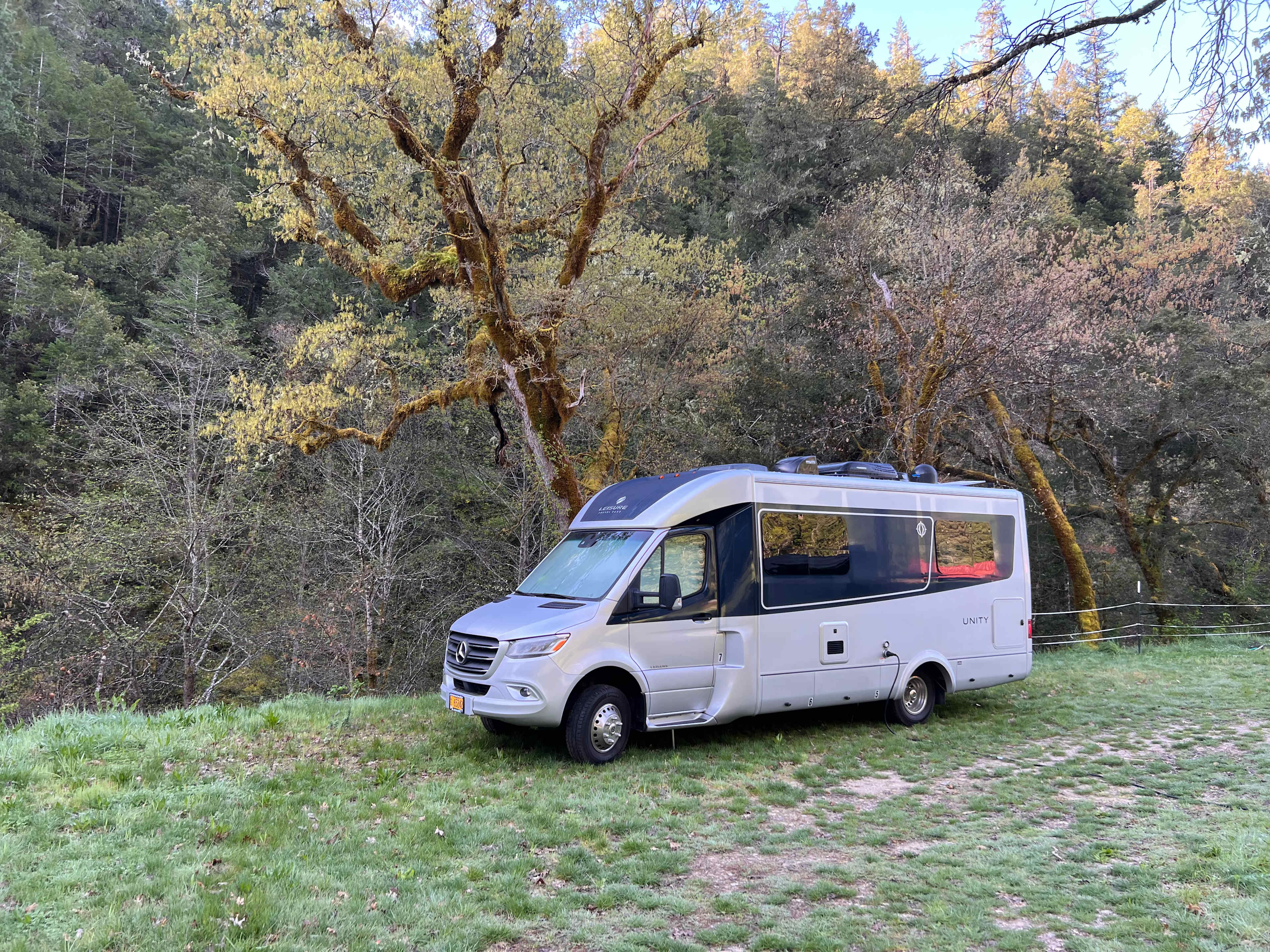 Our site near the path to the creek