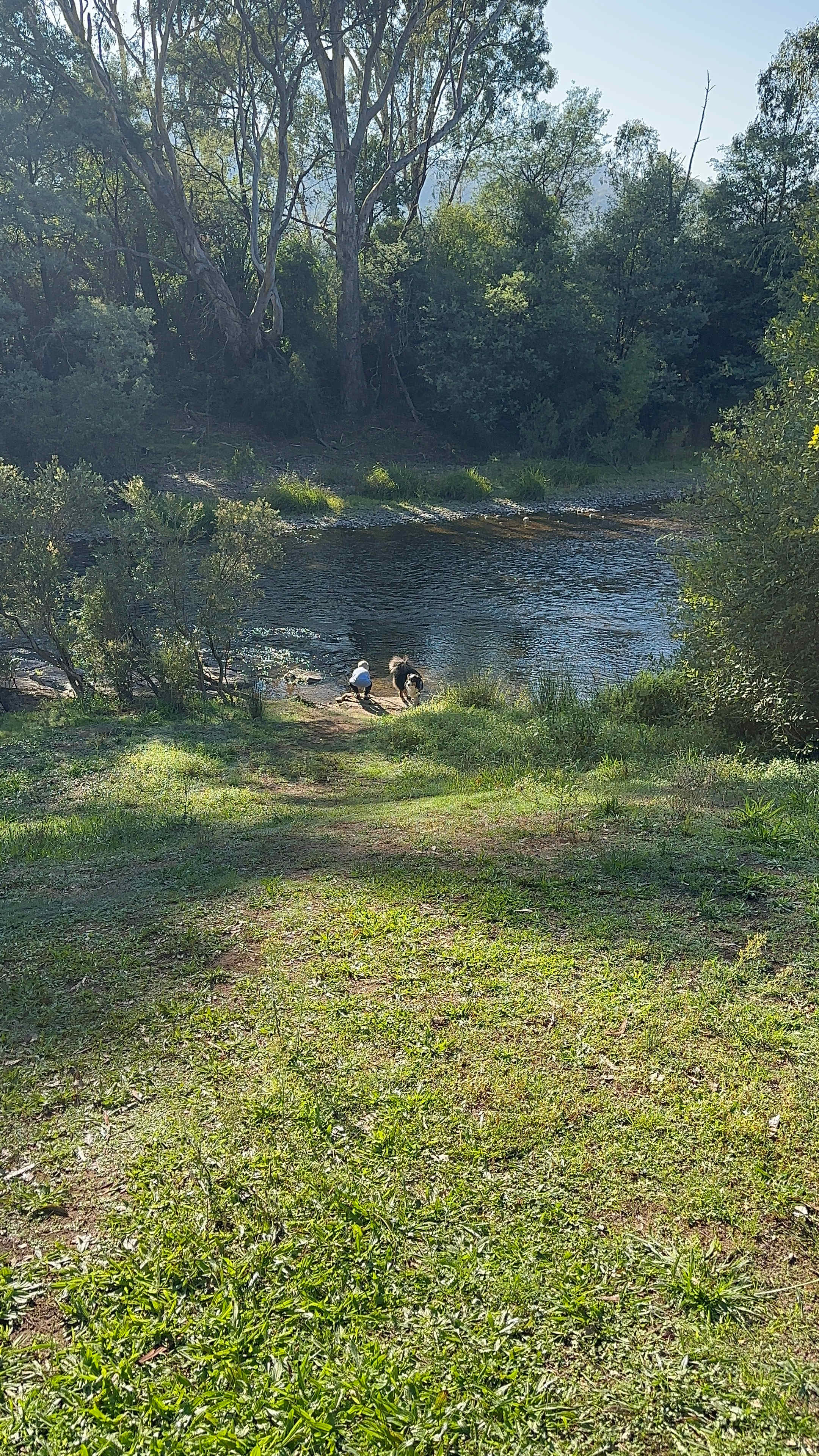 Our toddler and dogs enjoying the river