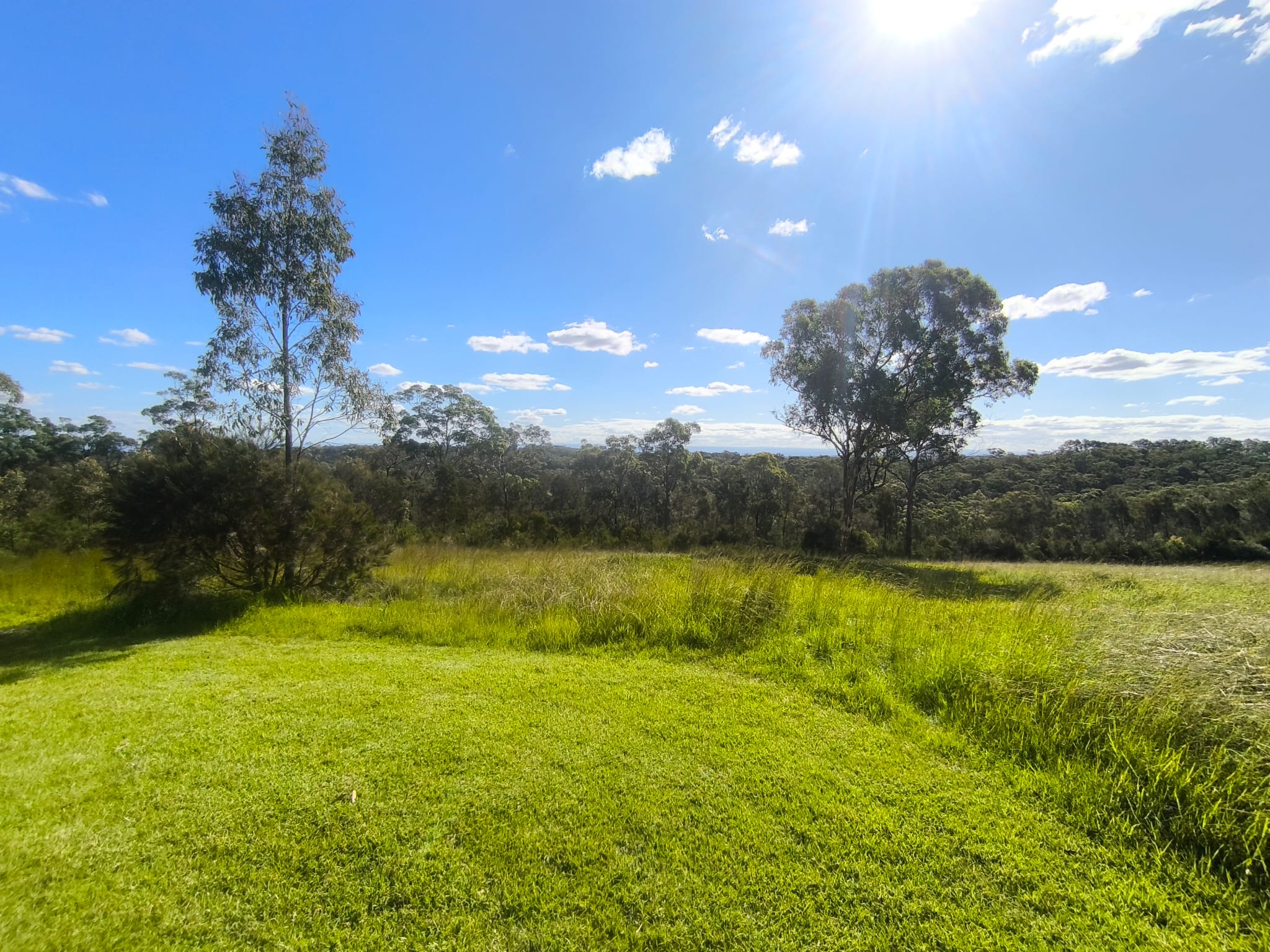 Canoelands Valley Camping