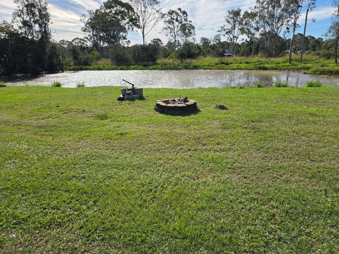 The Back Paddock