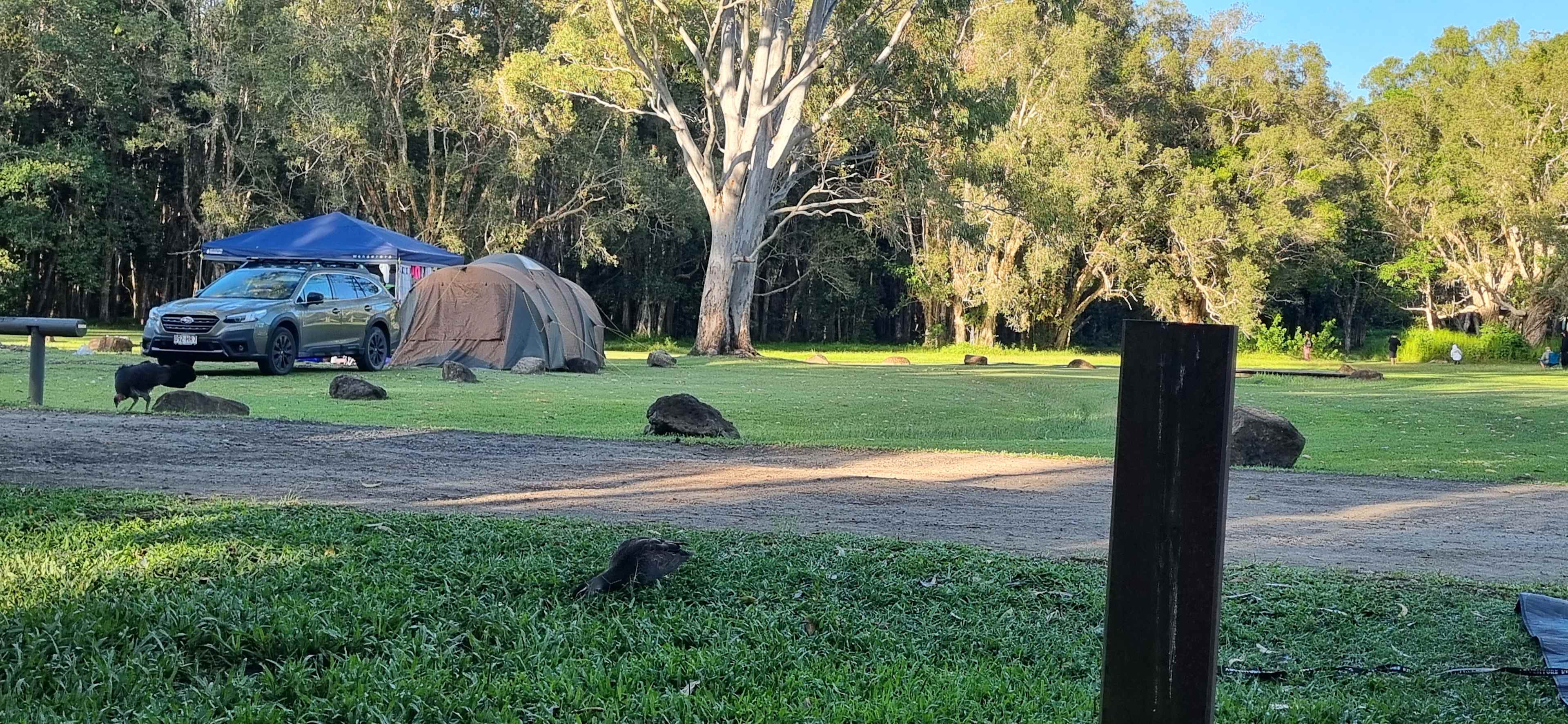 Habitat Noosa Everglades EcoCamp