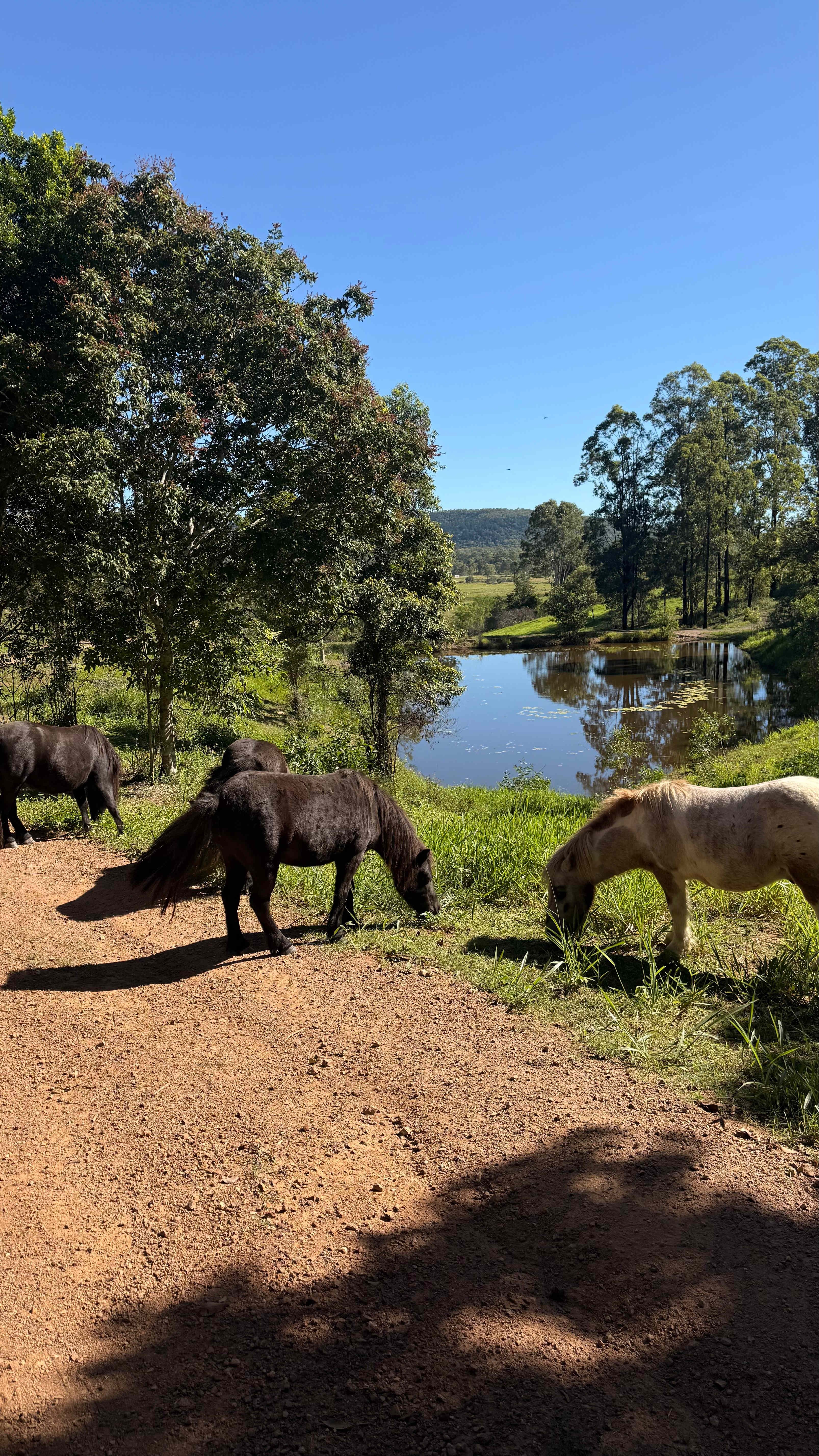 Hidden Camp Farm Stay