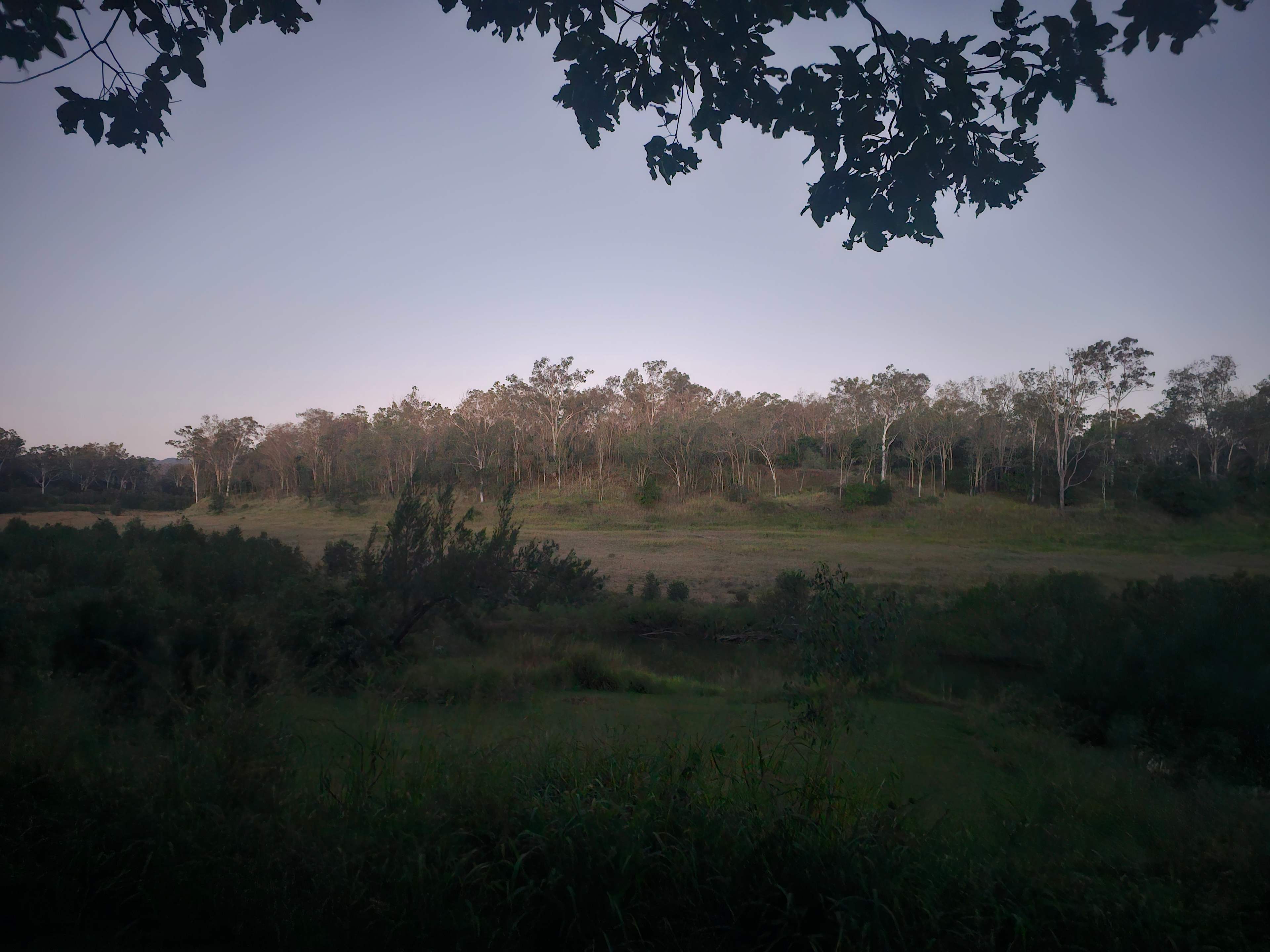 Weefarm Brisbane River Camping