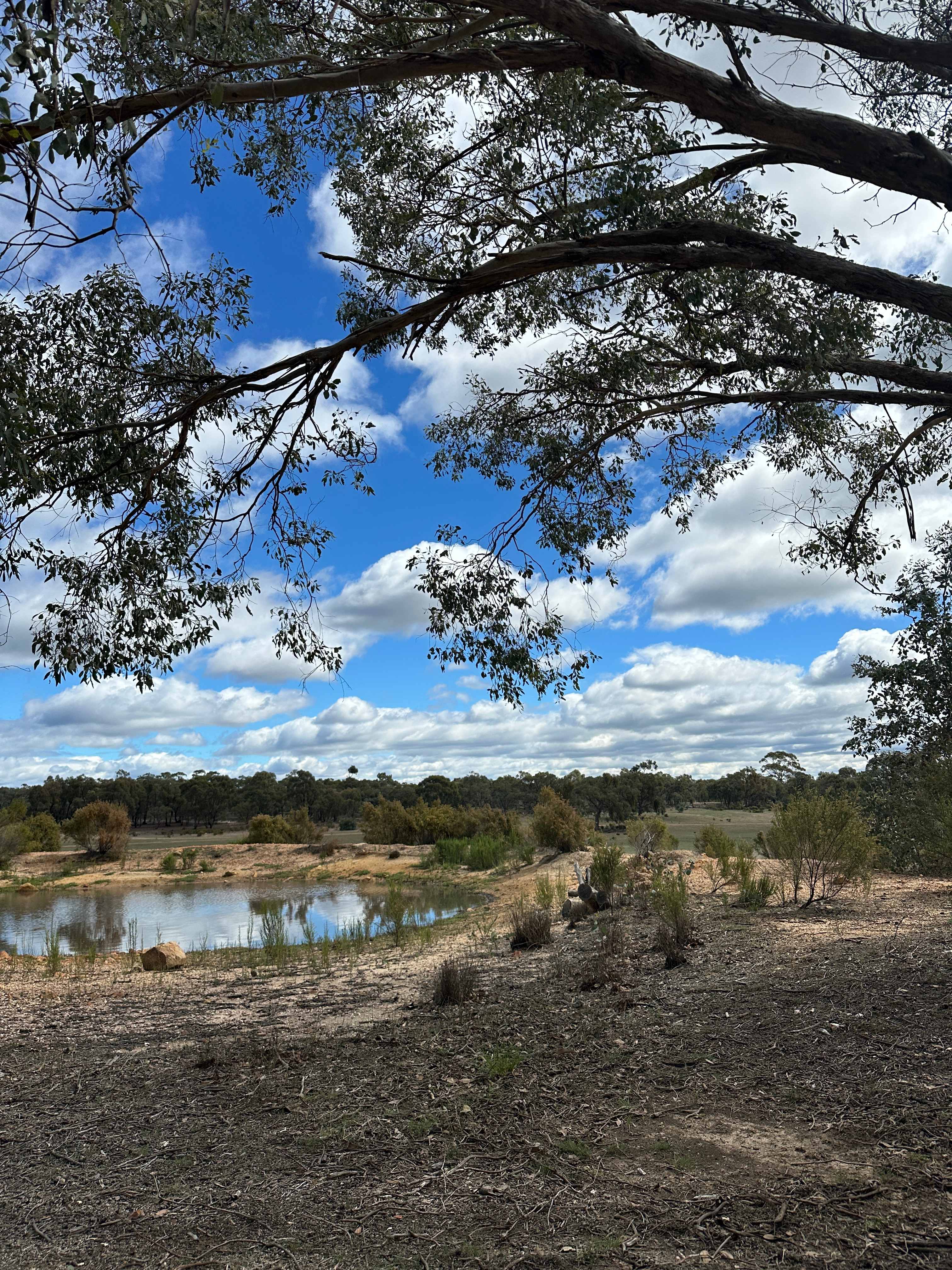 Somerville Park   (Bendigo)