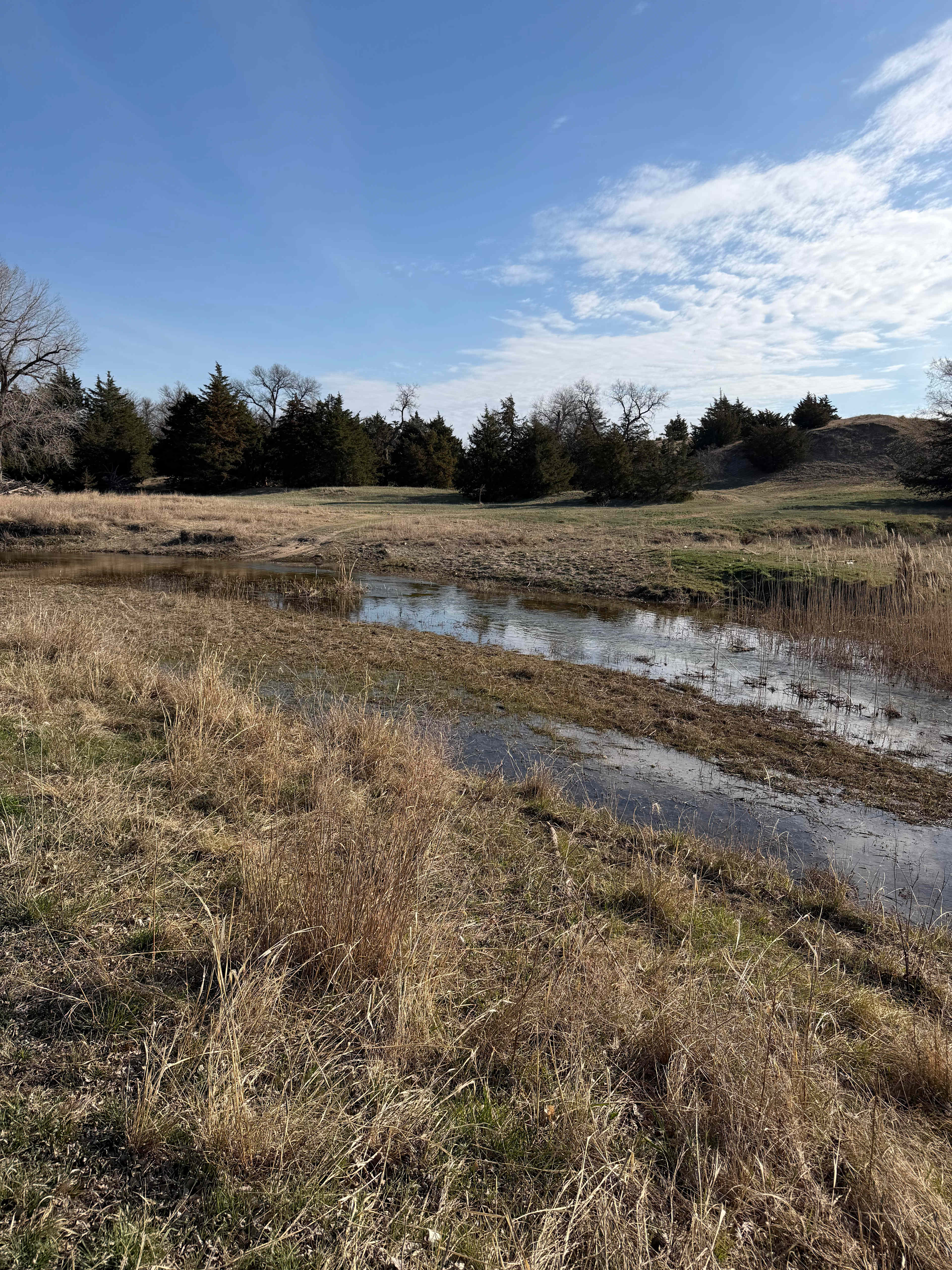 Saline River