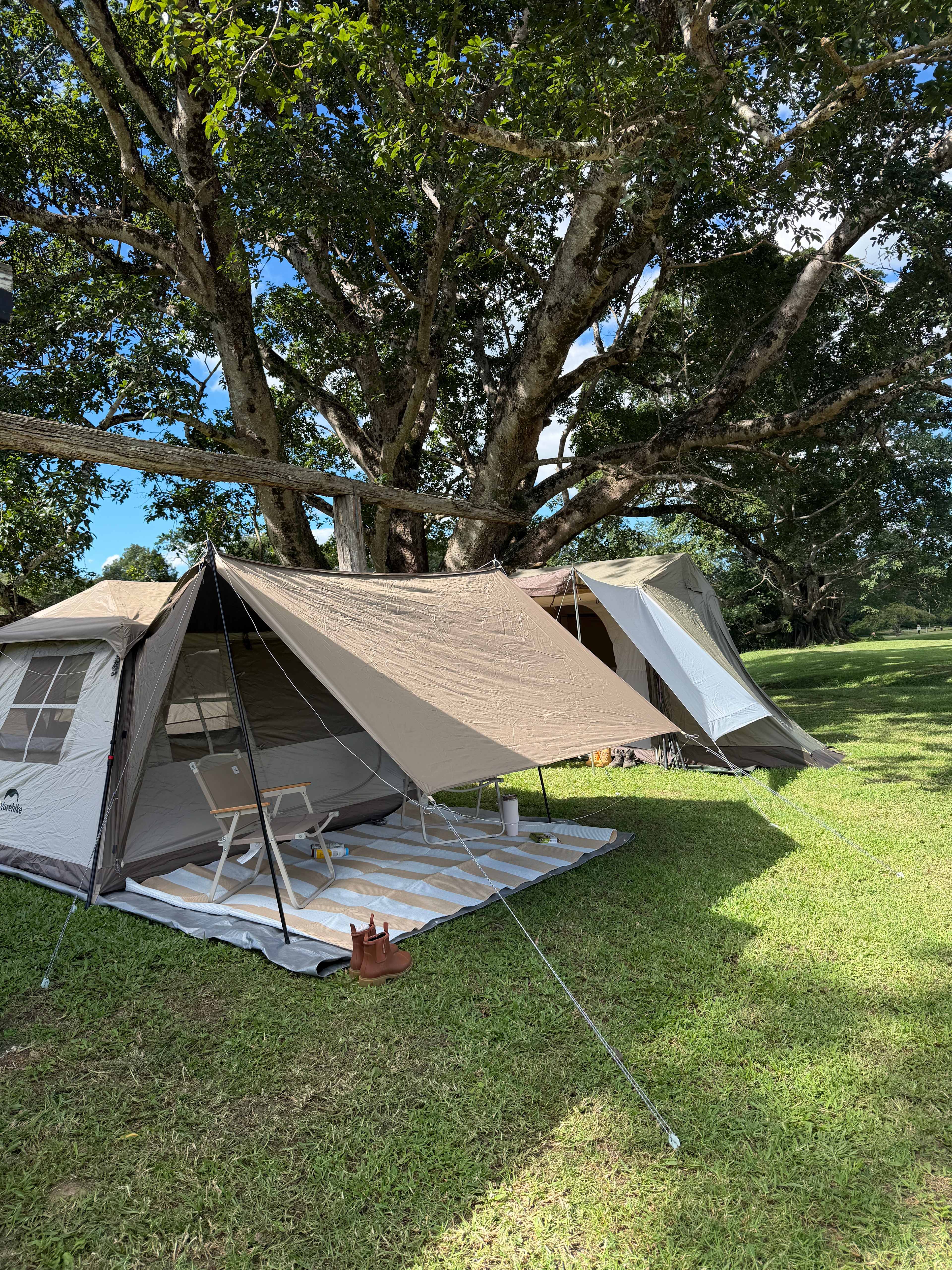 McKenzies Mountain, Wollumbin