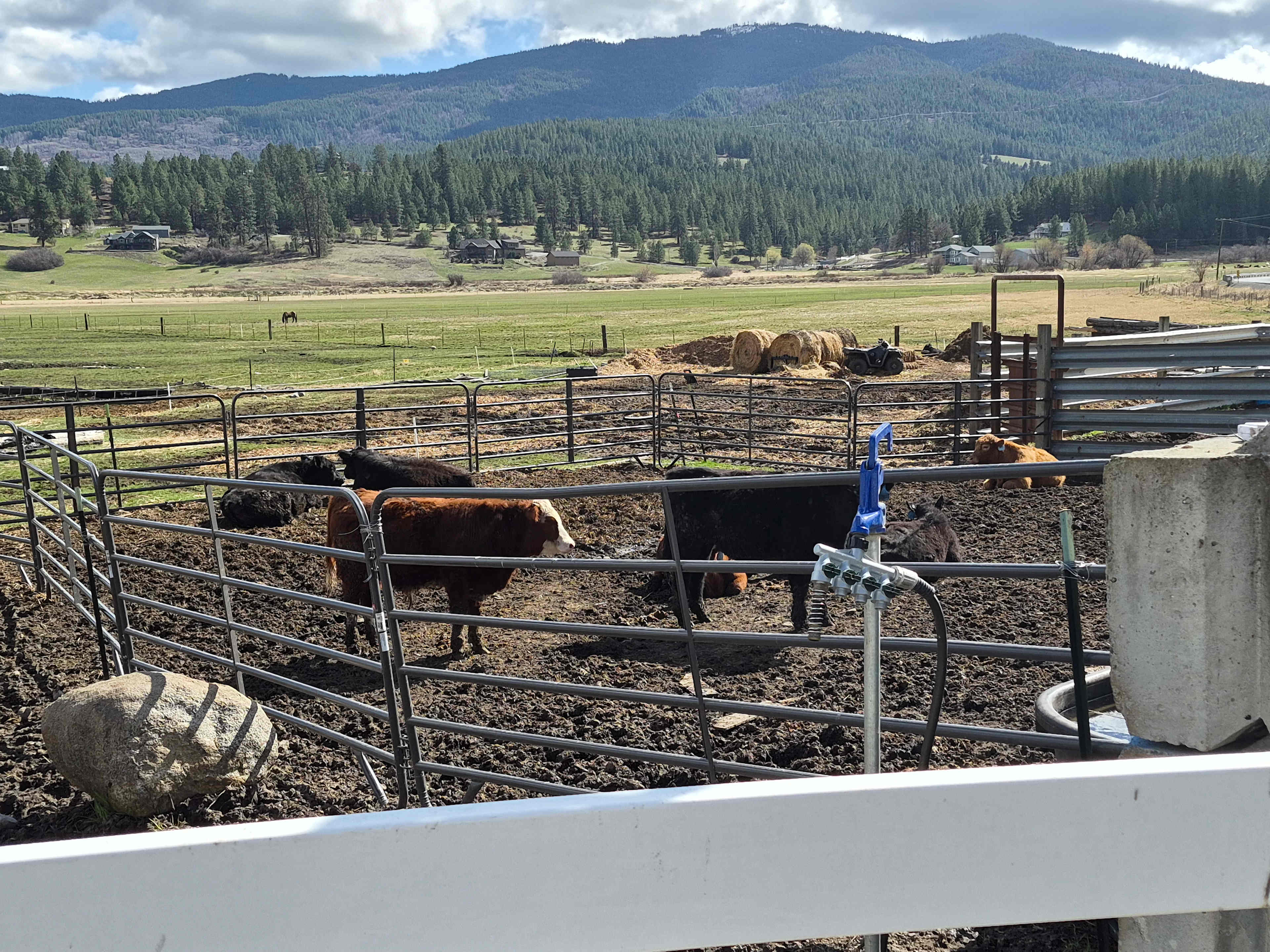 Mica Valley Ranch