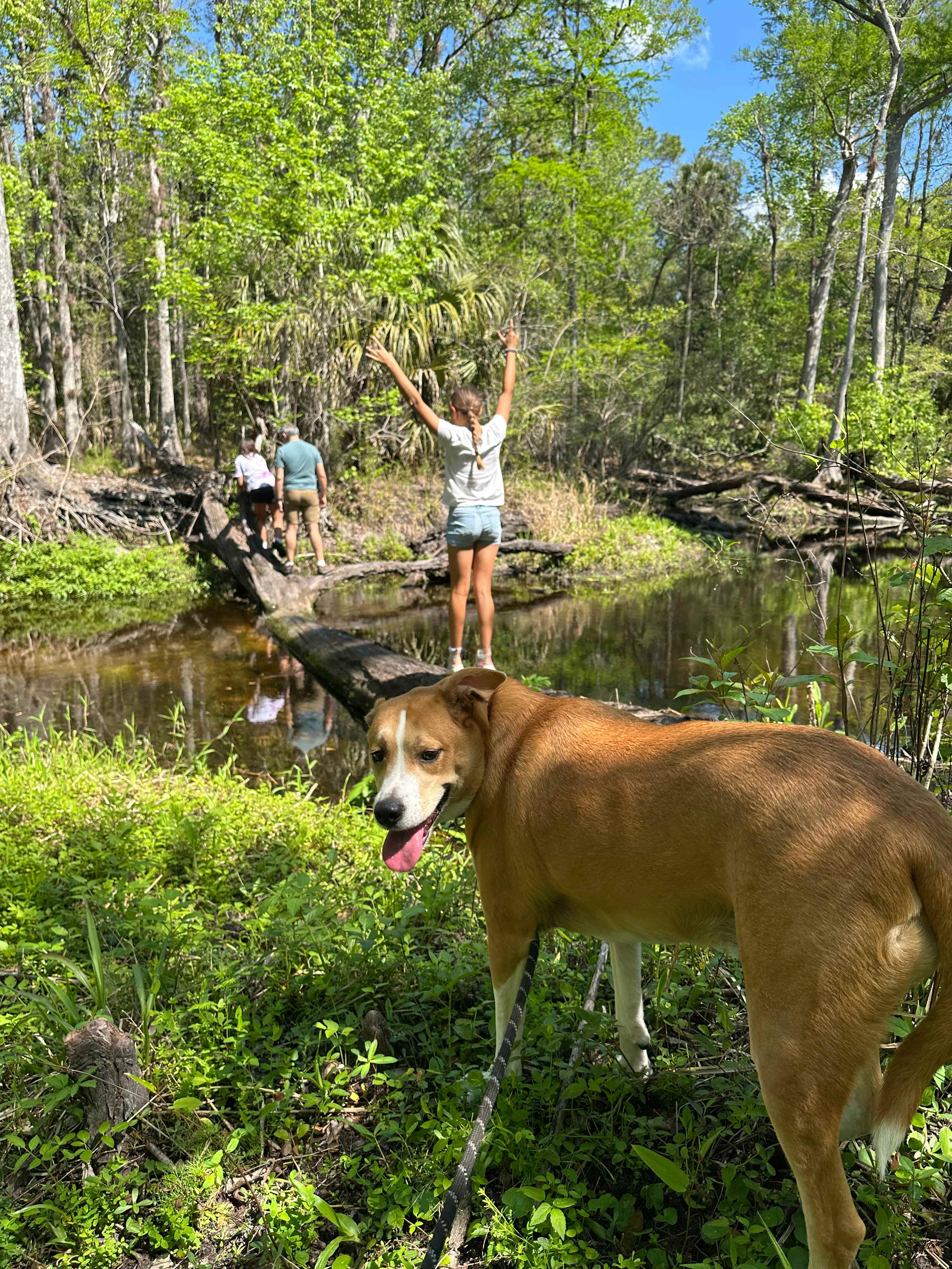 Camp Seminole Springs