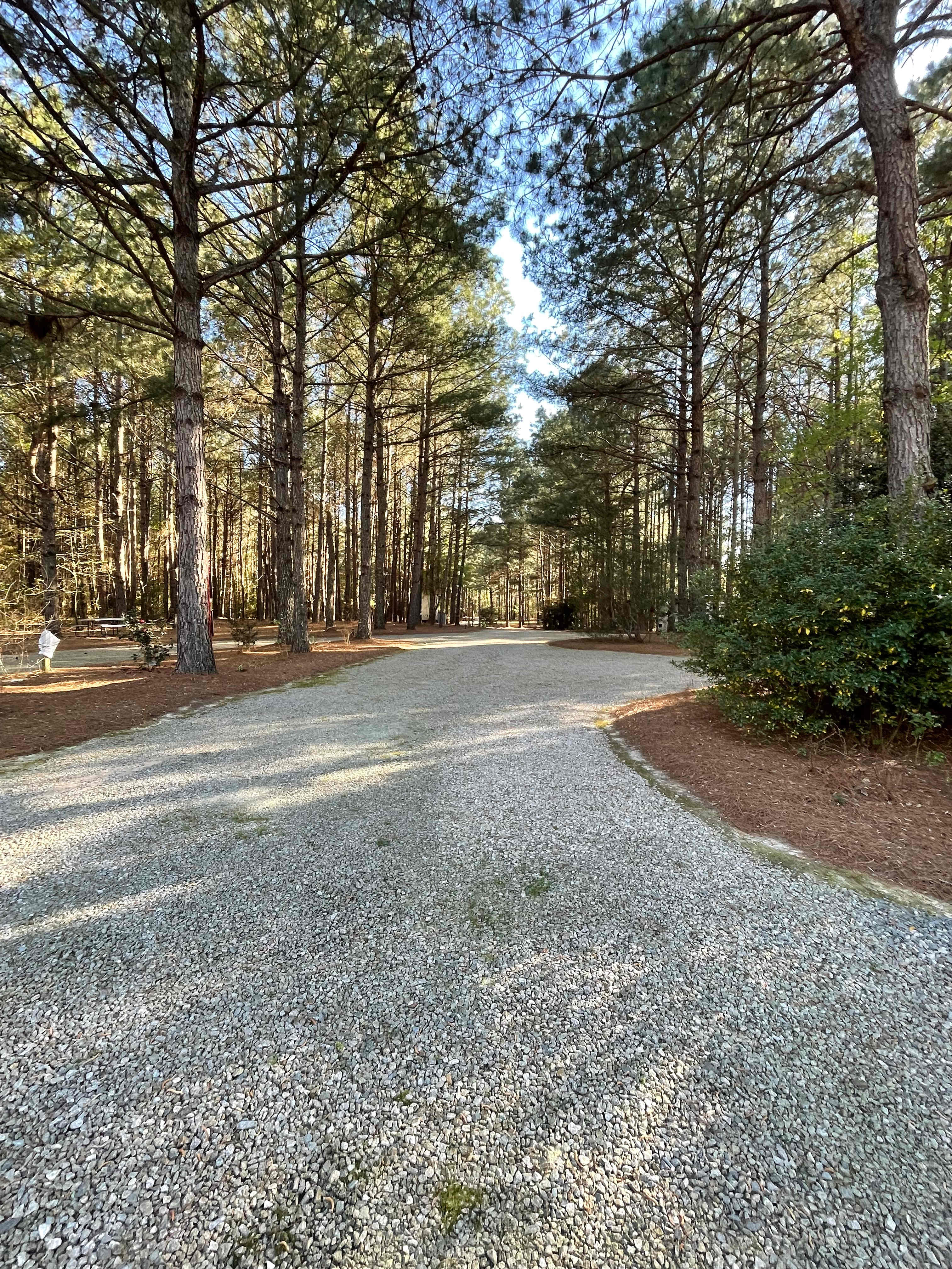 Cedar Creek Campground at Elease