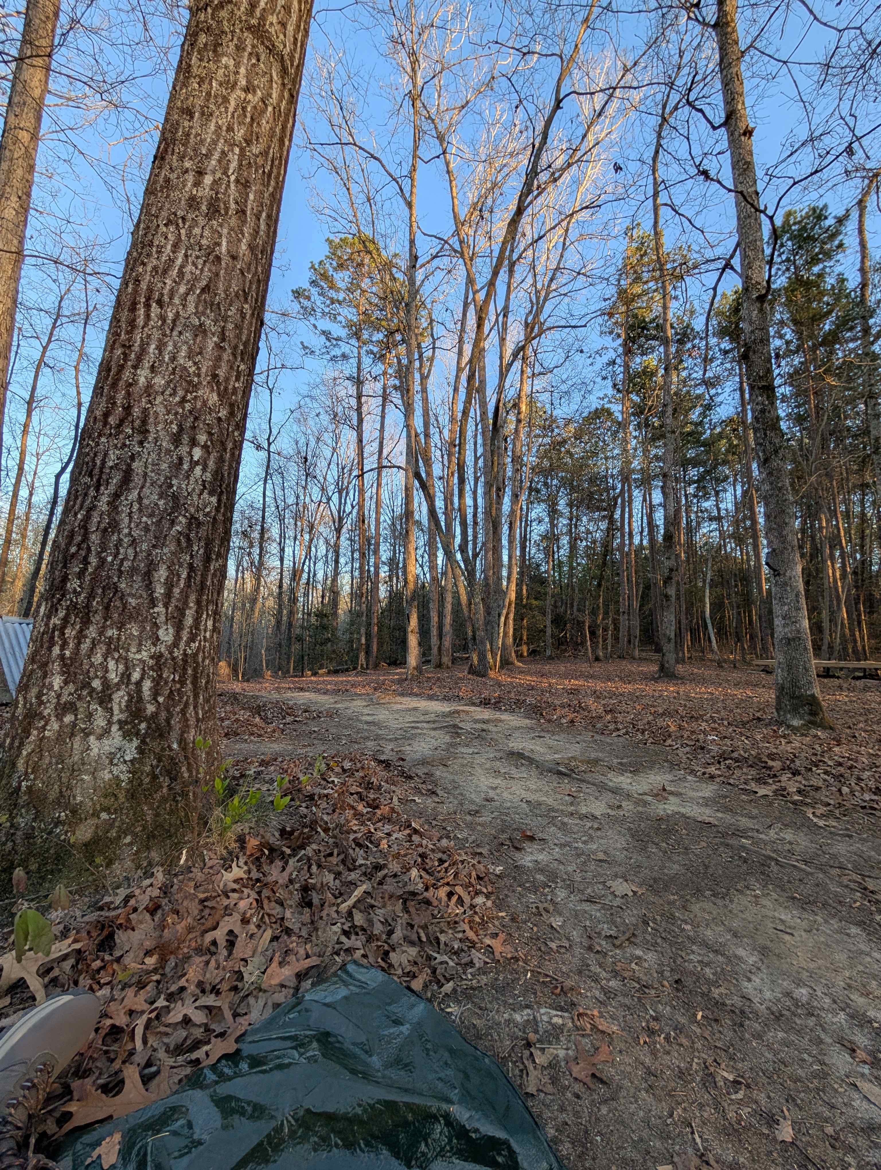 3 Creeks Camp and Nature Preserve