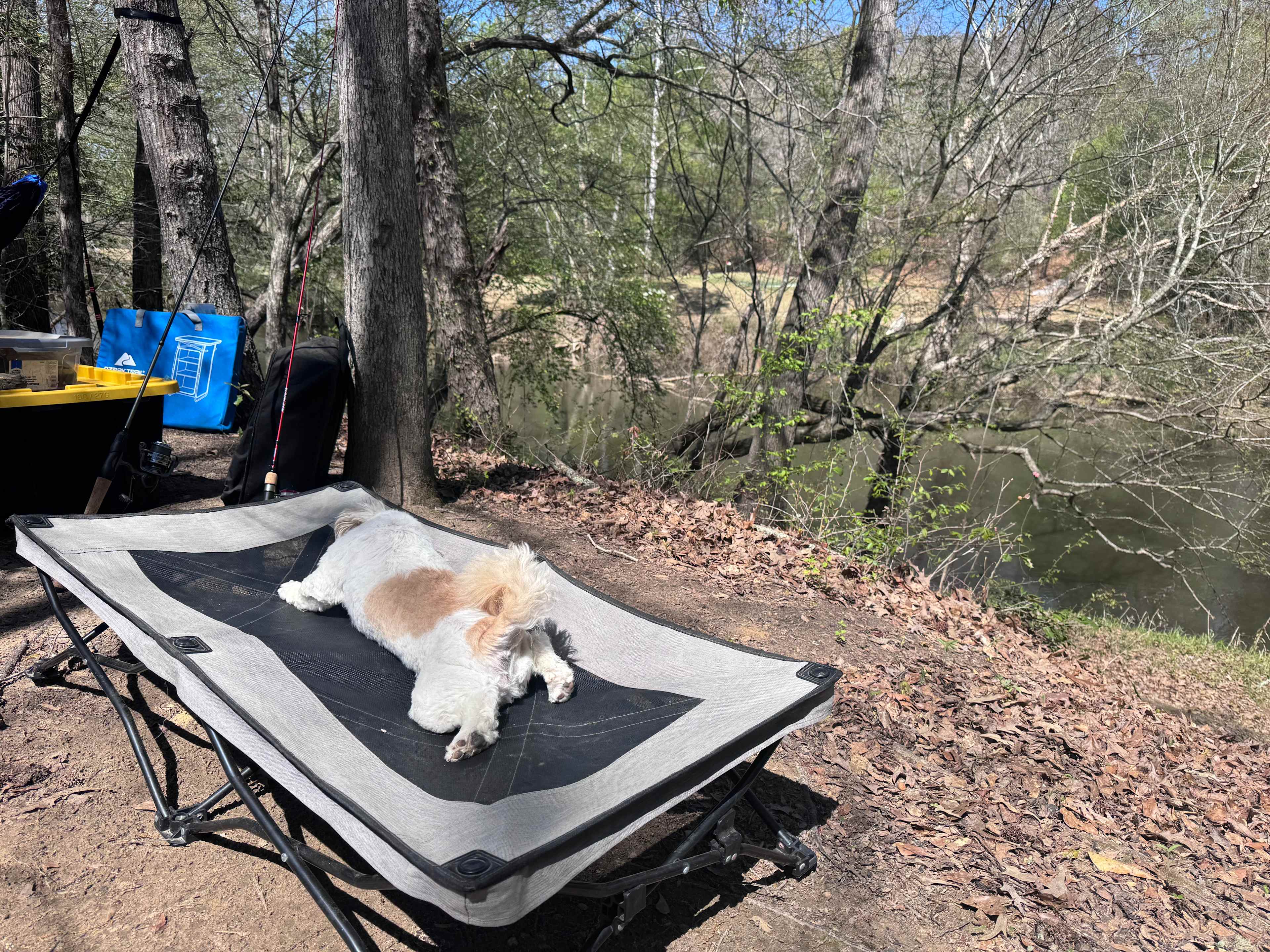 Tar River Life
