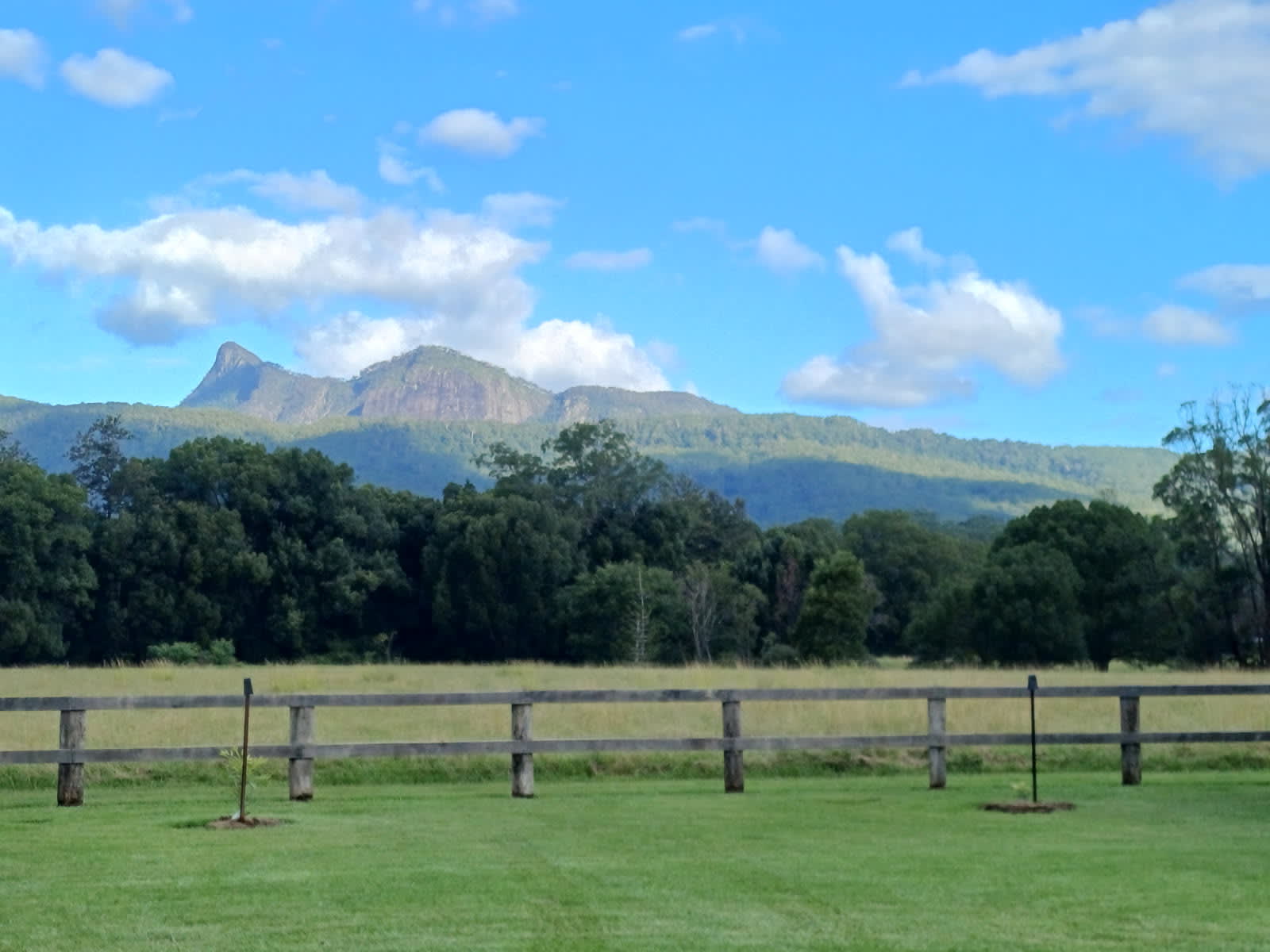 Wollumbin (Mt Warning)