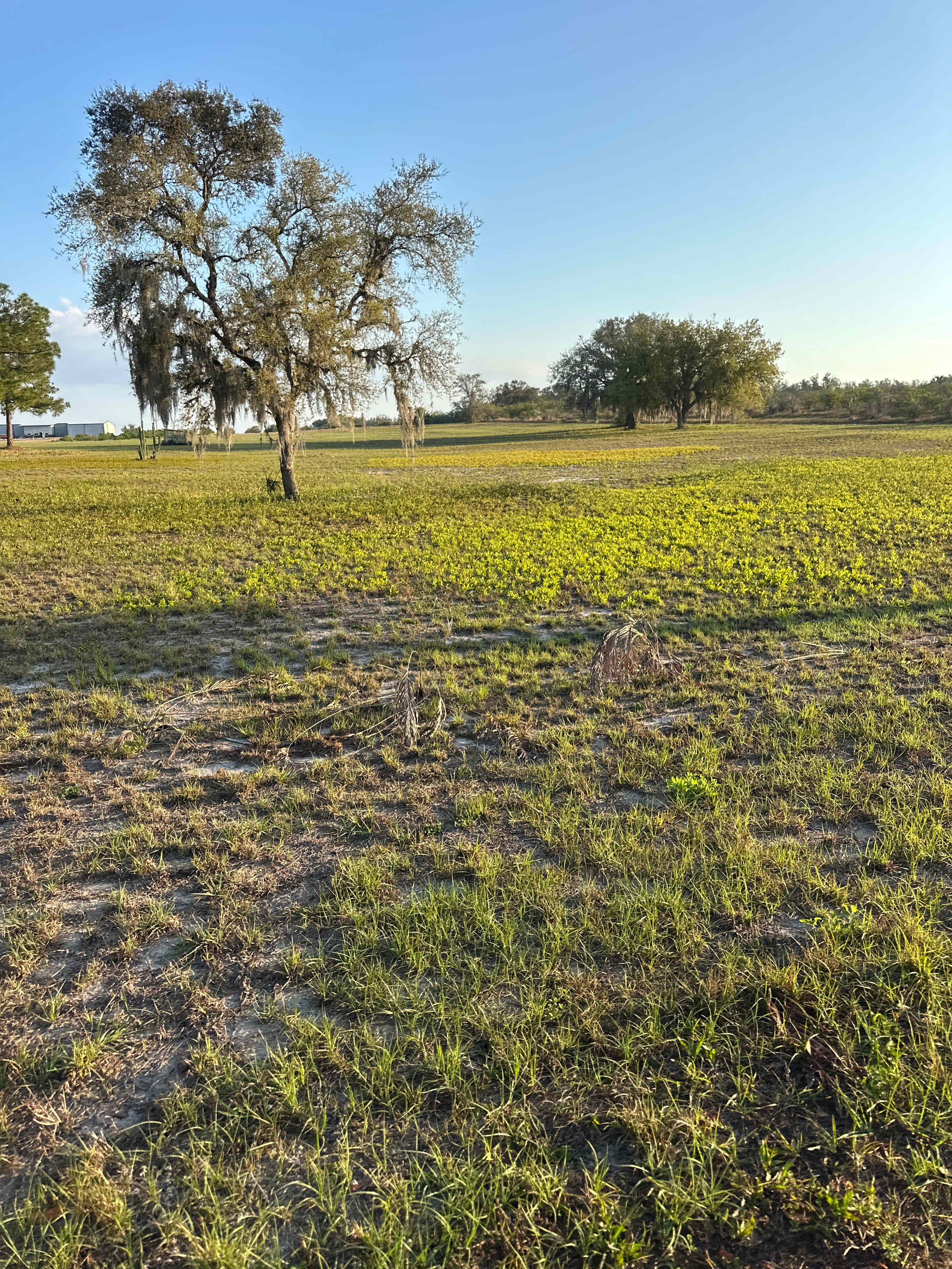 Country side 